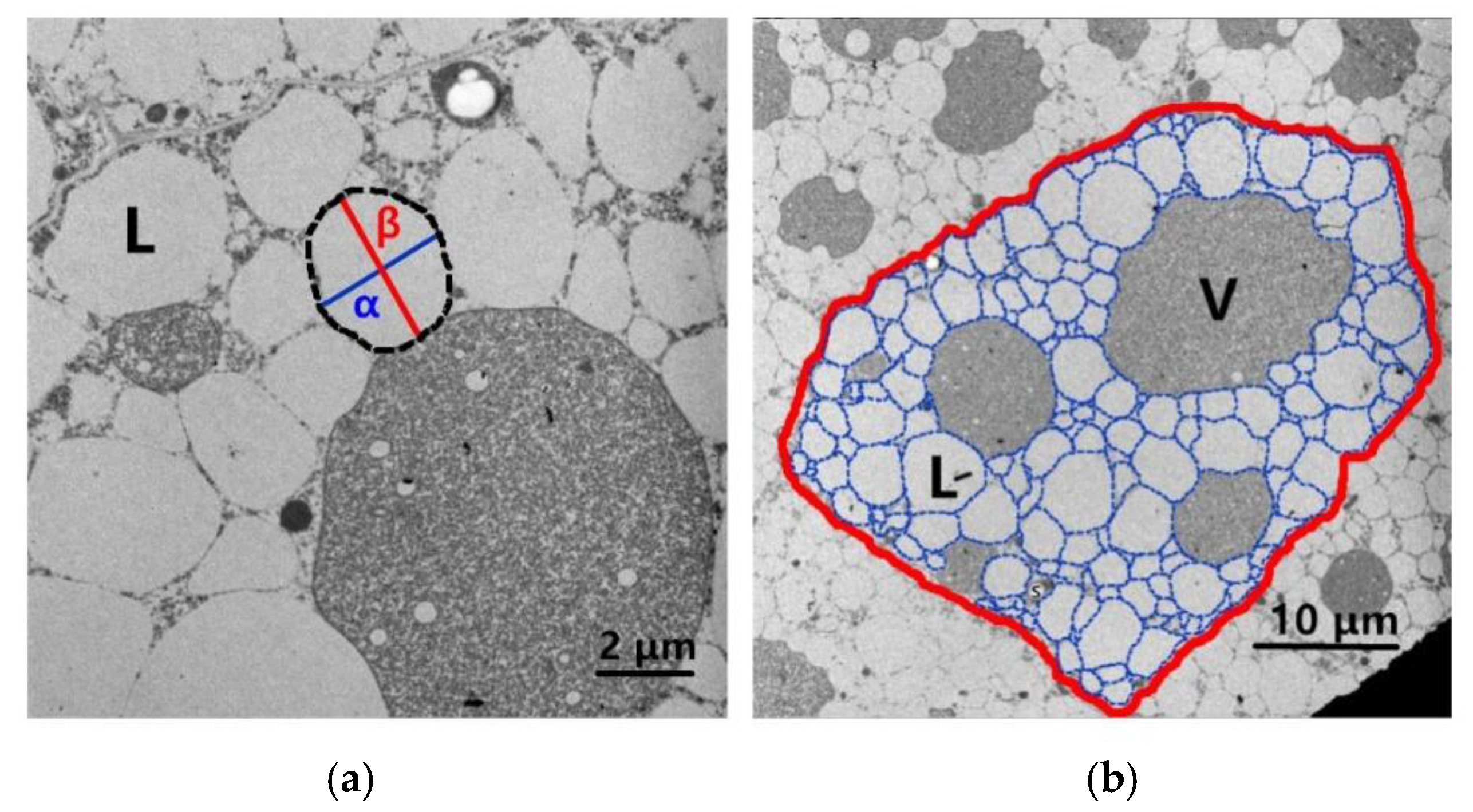 Forests 09 00265 g001