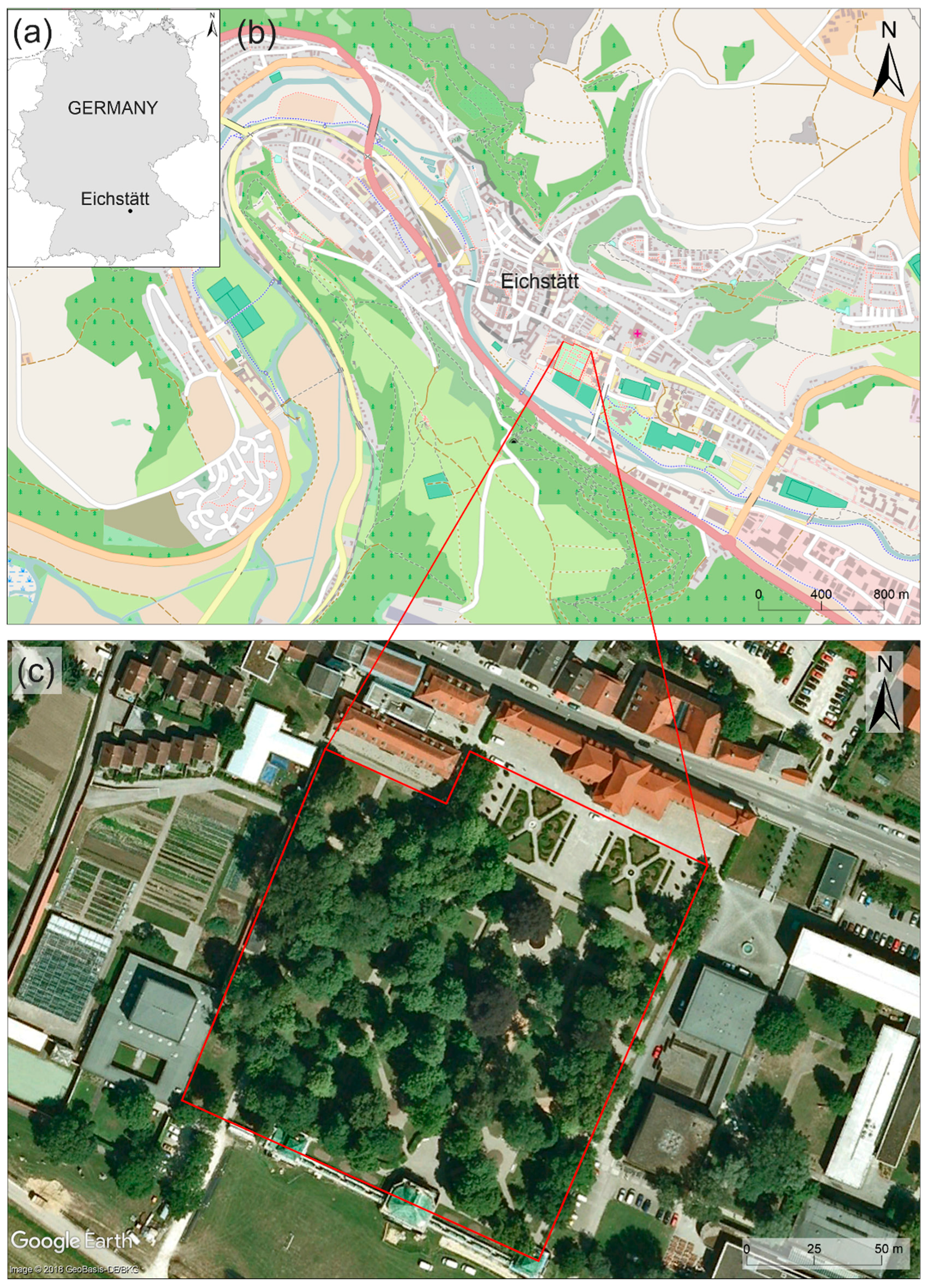 Forests 09 00284 g001