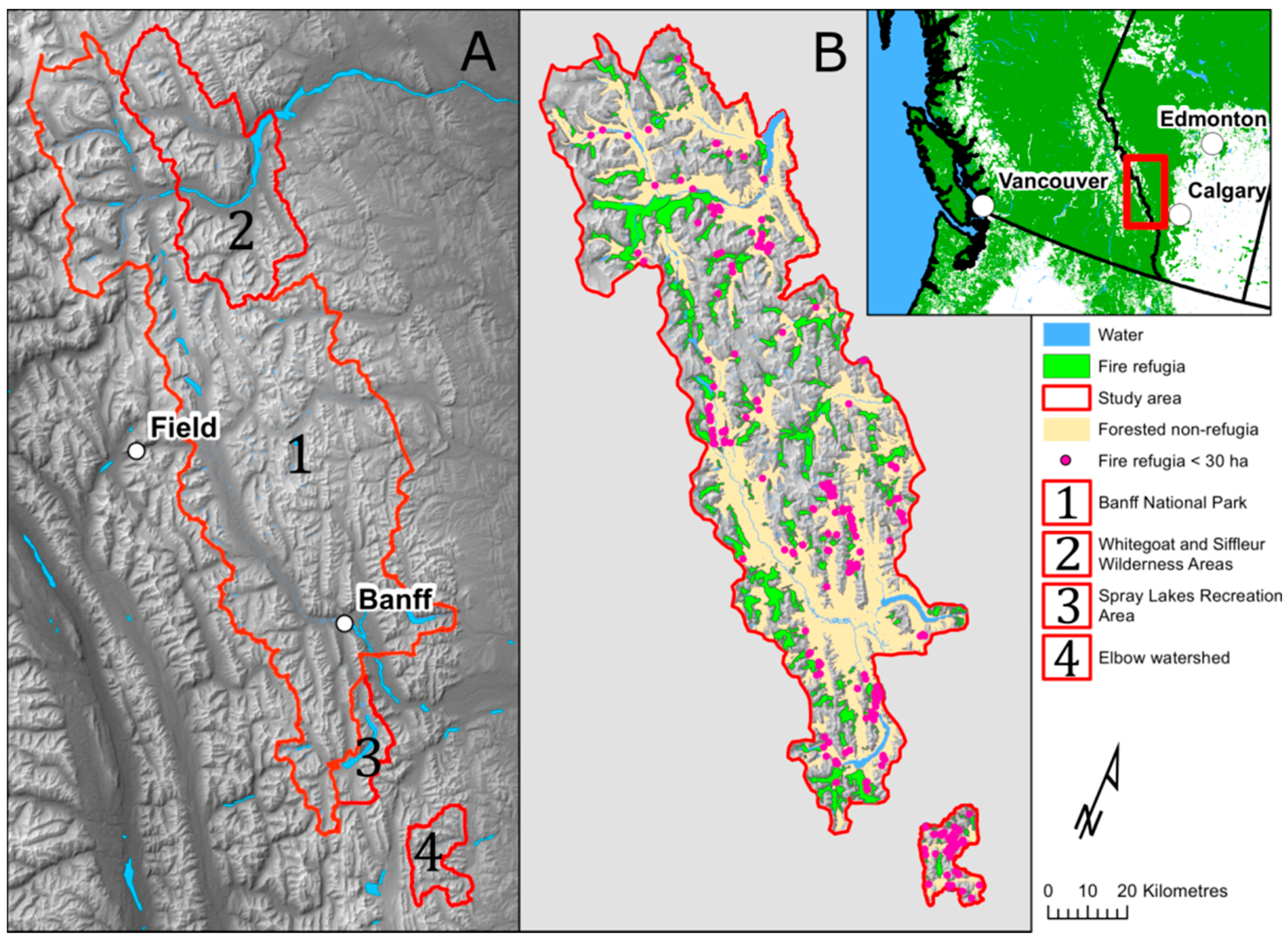 Forests 09 00285 g001