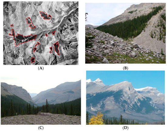 Forests 09 00285 g0a1 550