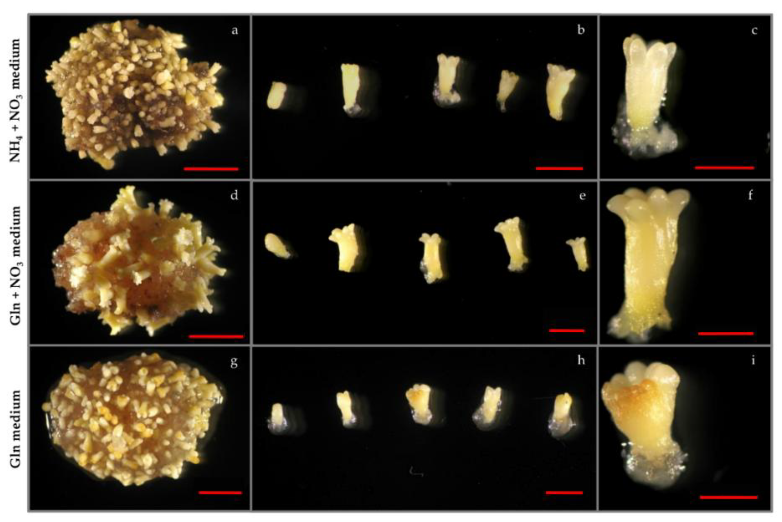 Forests 09 00288 g003