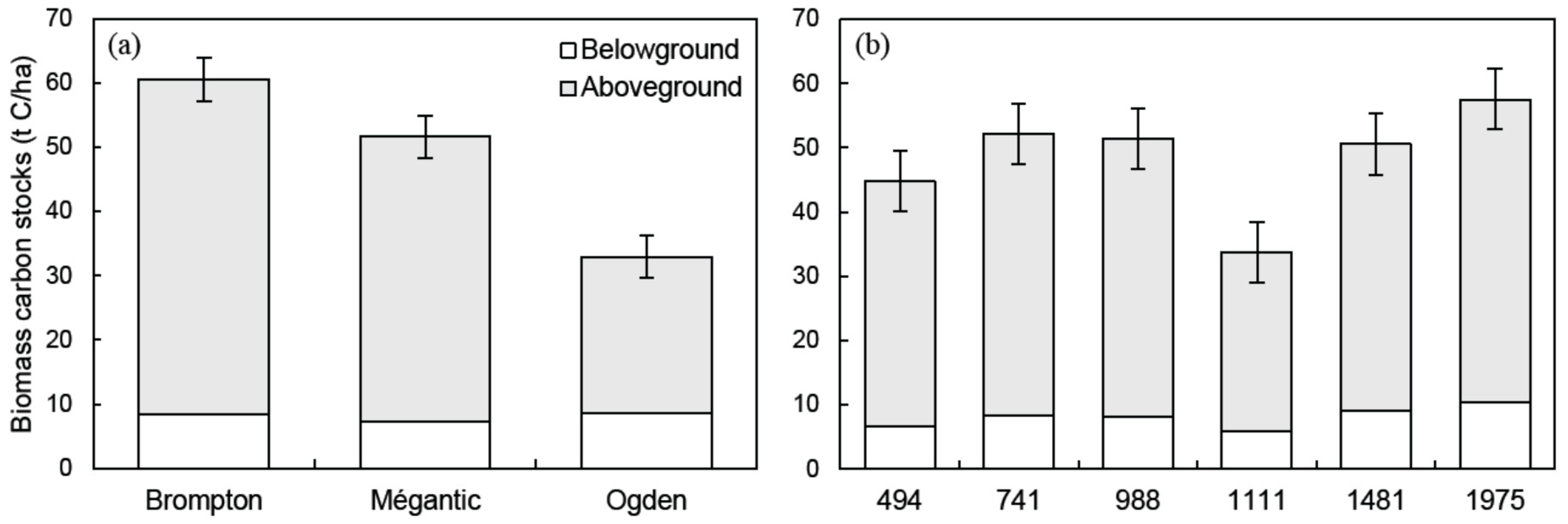 Forests 09 00293 g001