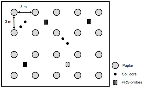 Forests 09 00293 g0a1 550