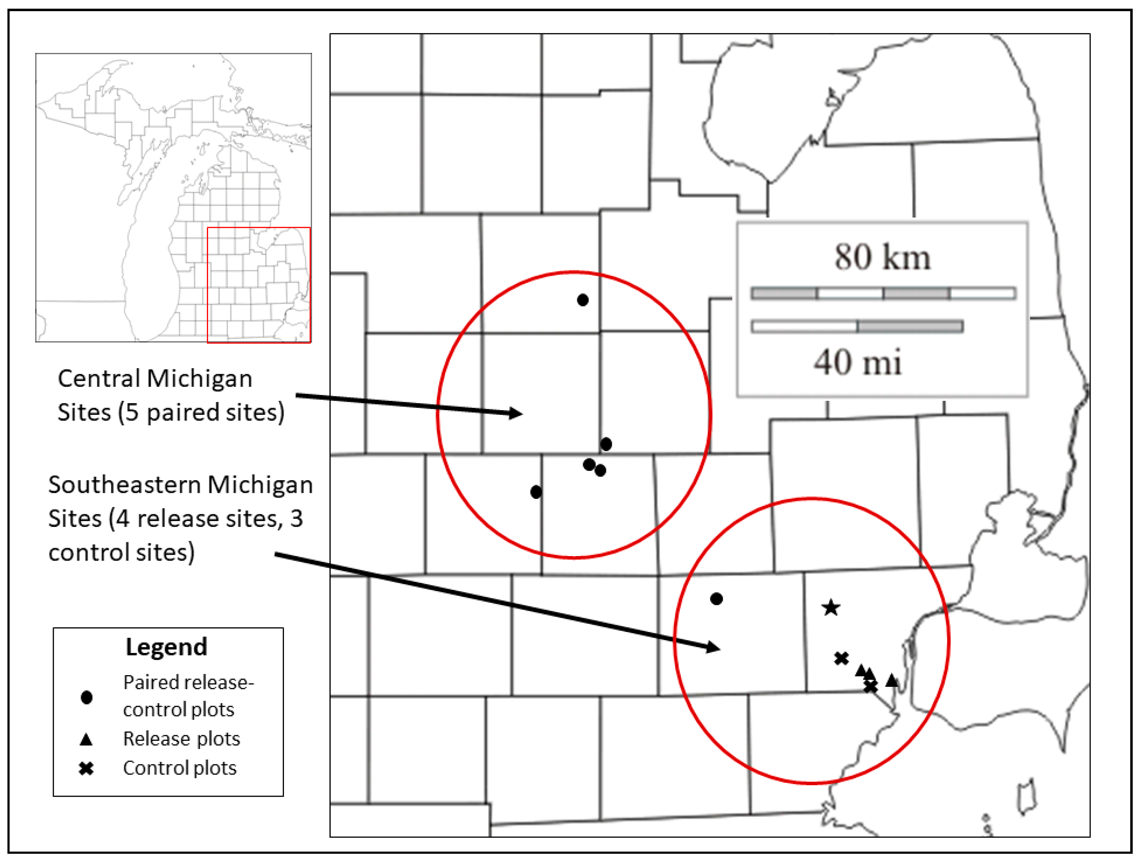 Forests 09 00296 g001