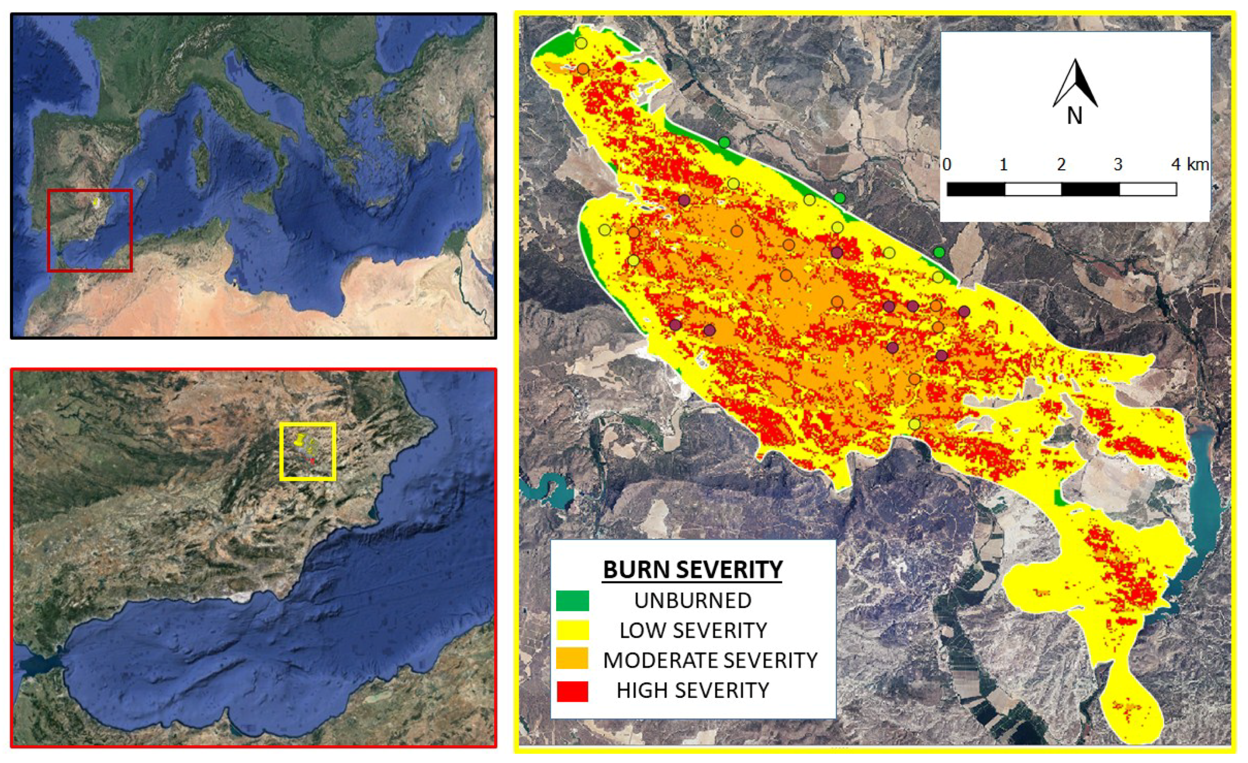 Forests 09 00299 g001