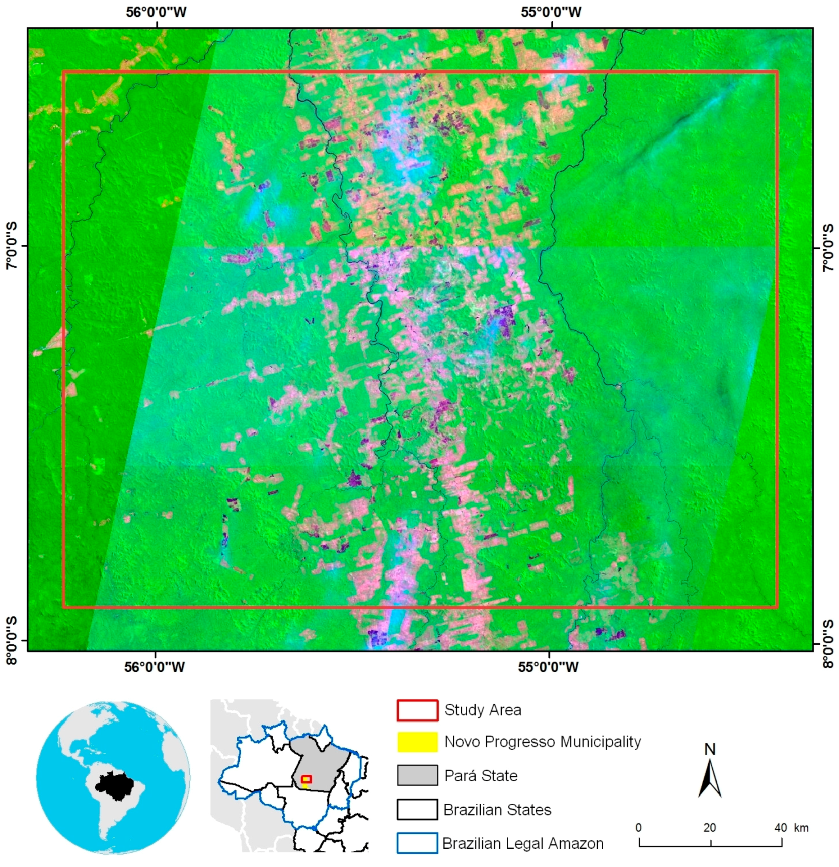 Forests 09 00305 g001