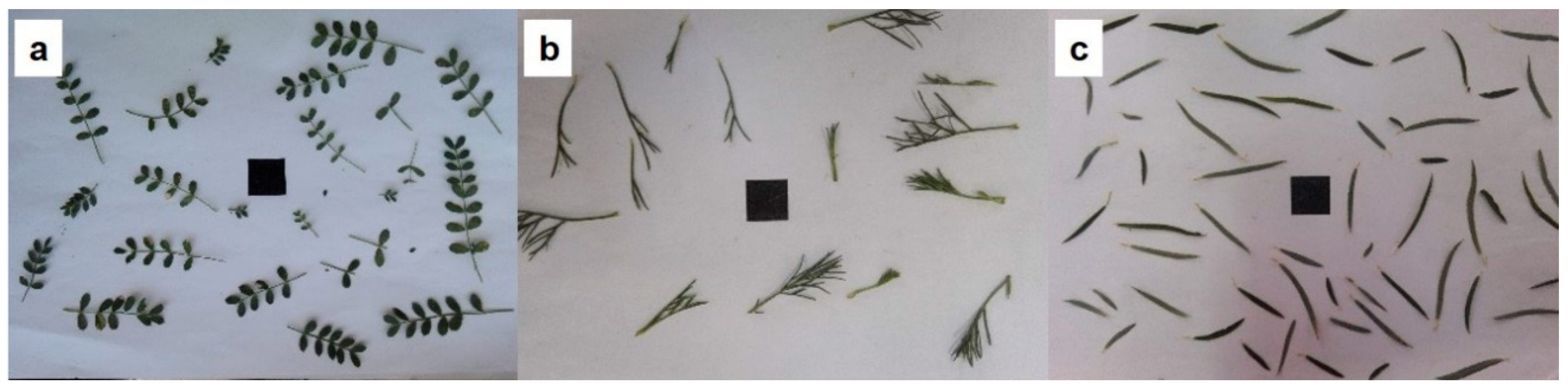 Forests 09 00313 g005