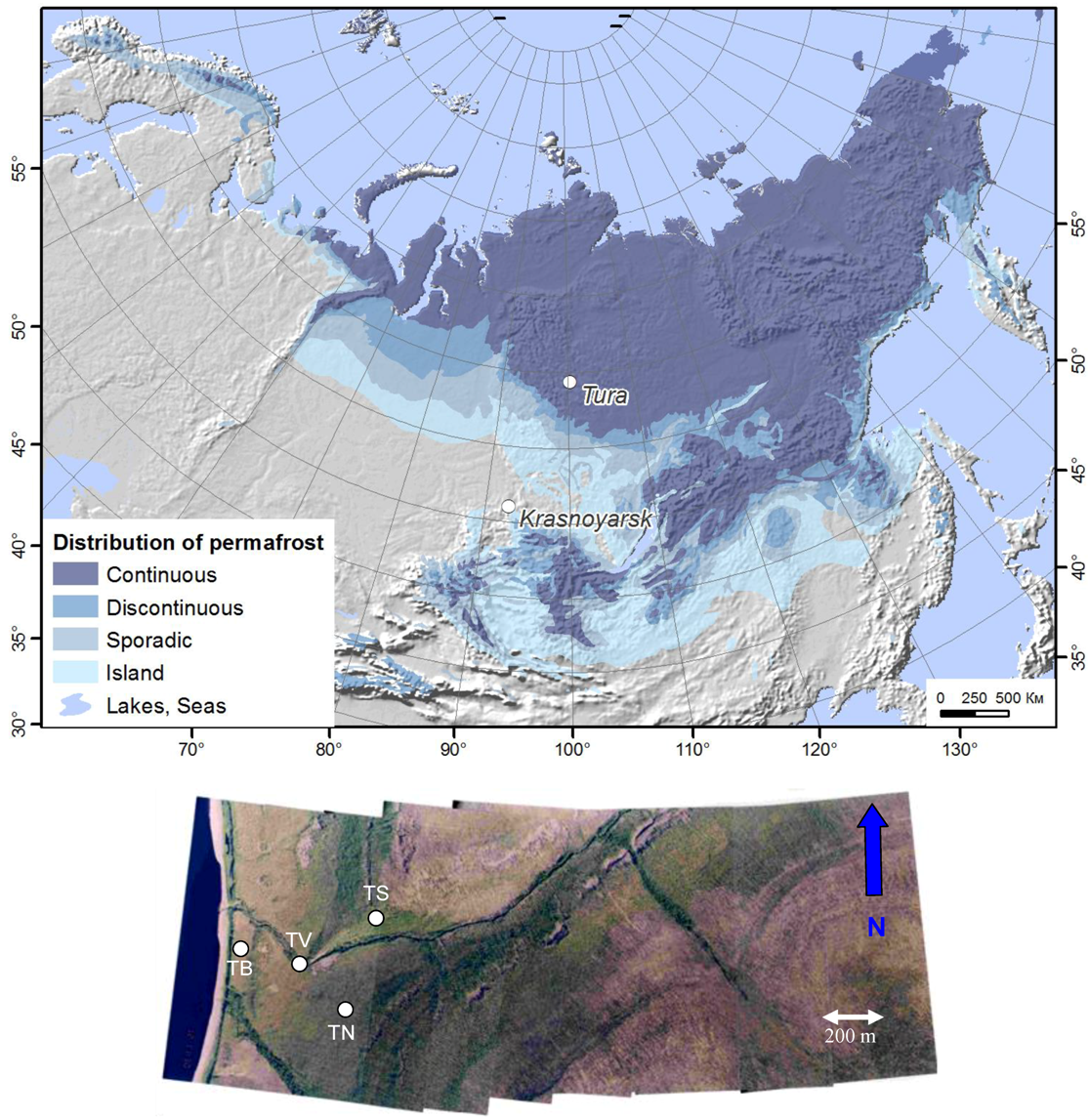 Forests 09 00314 g001