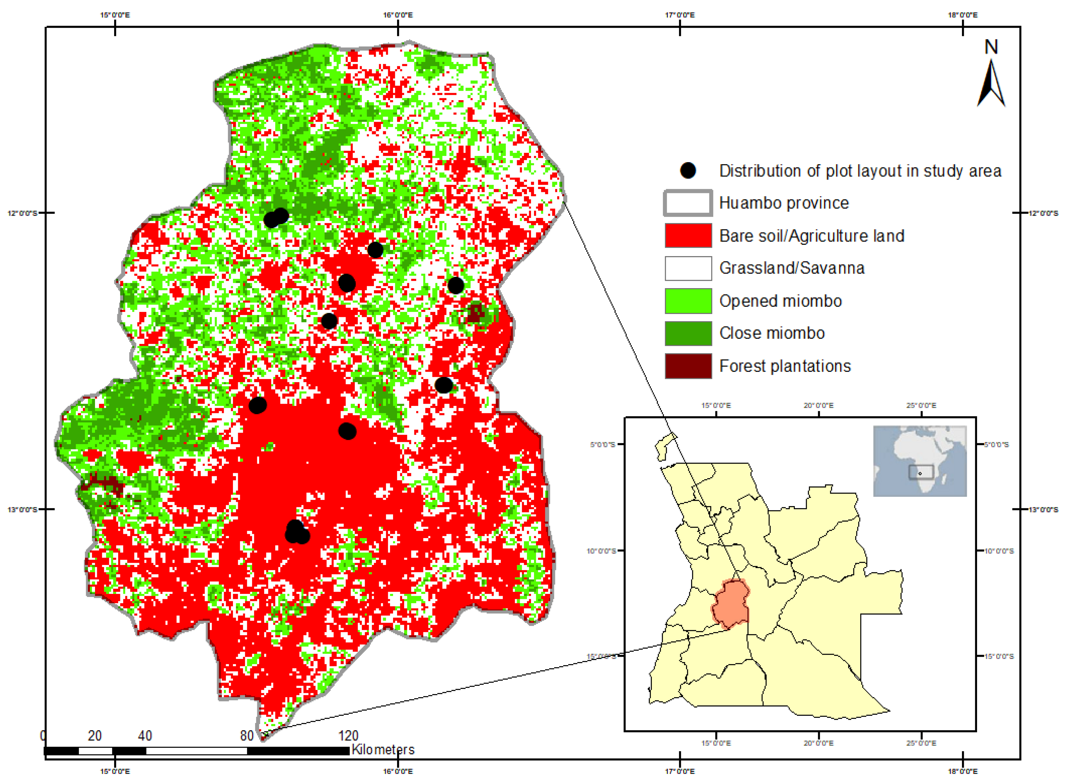 Forests 09 00321 g001
