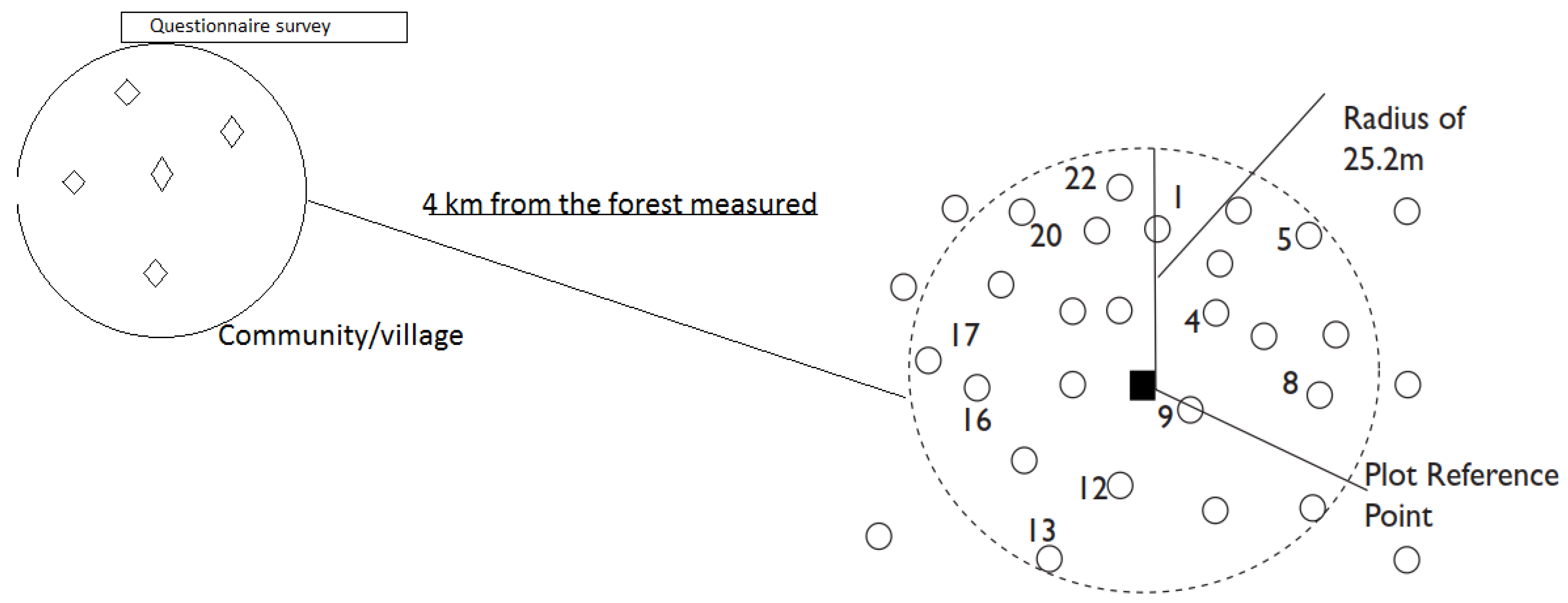 Forests 09 00321 g002