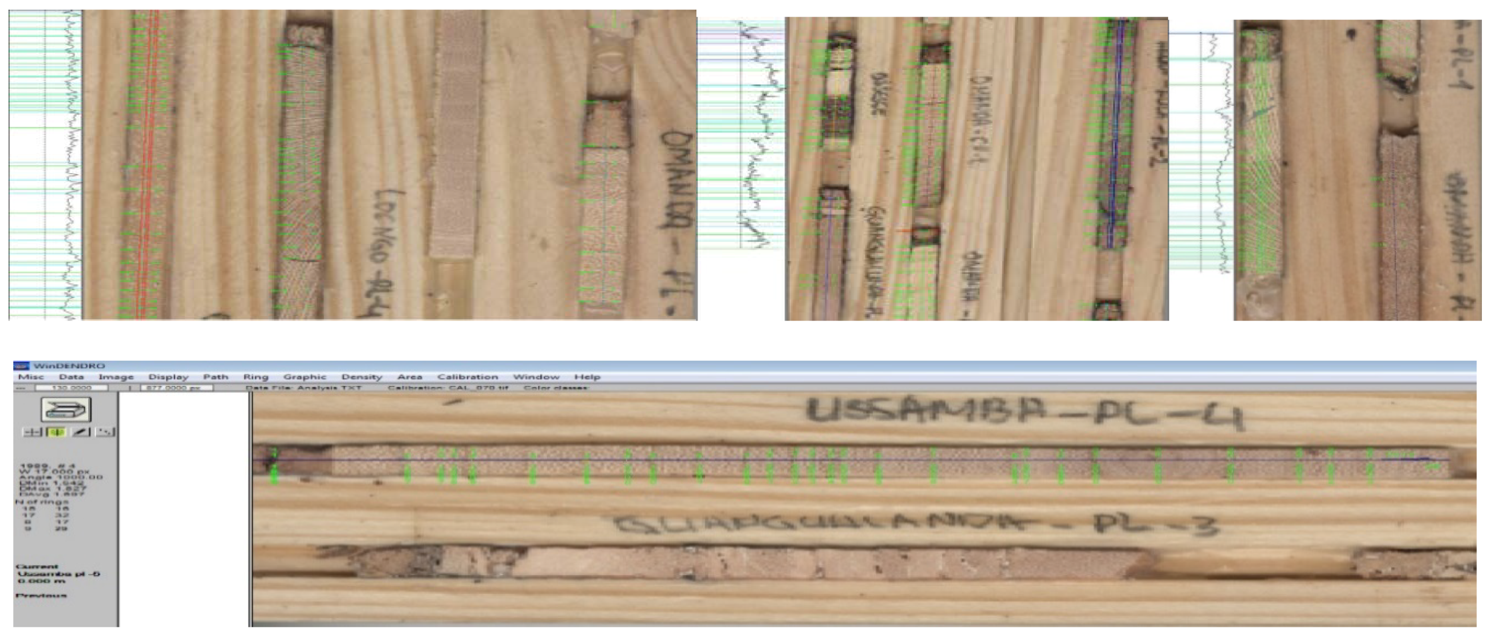 Forests 09 00321 g0a2