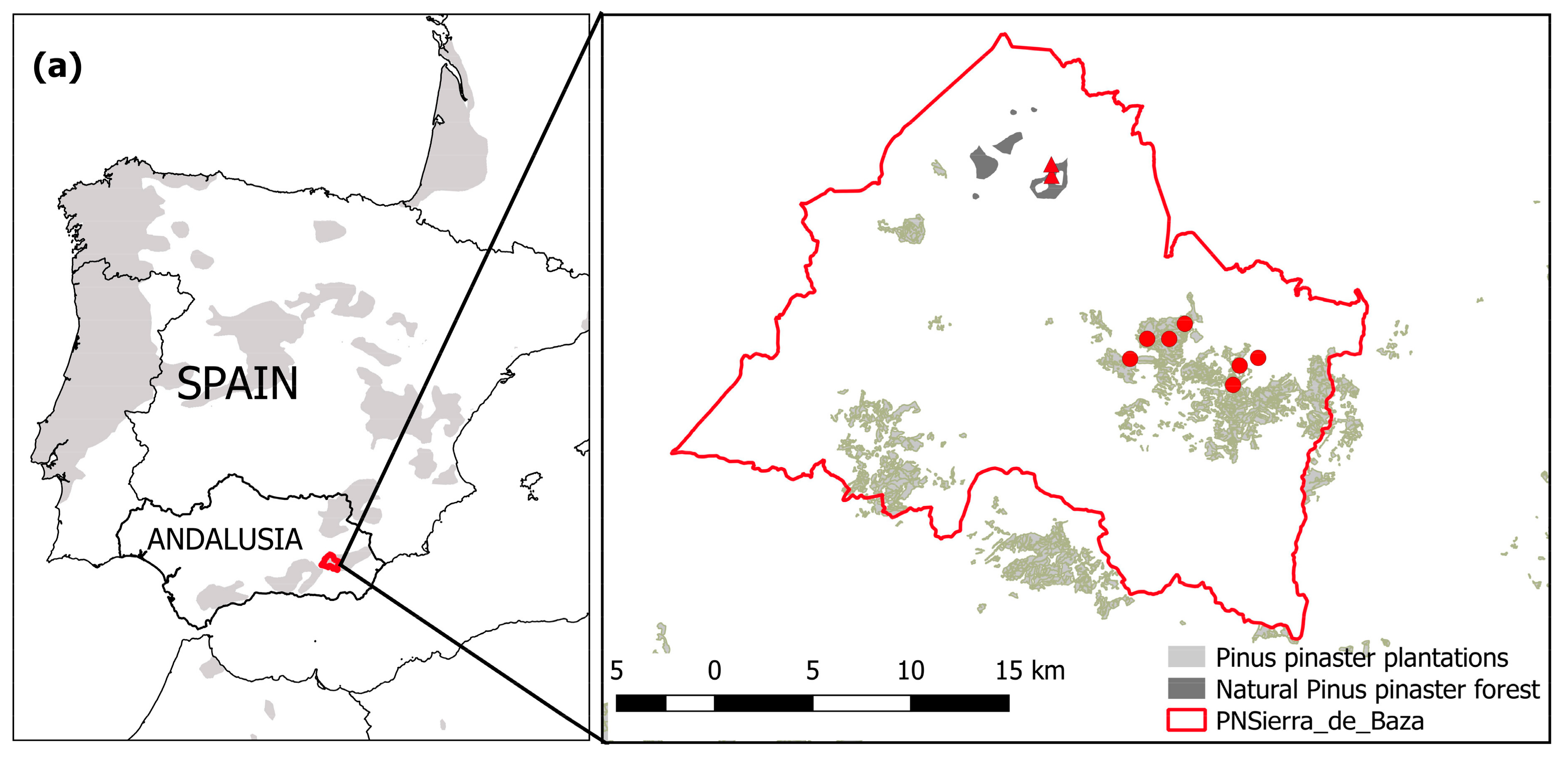 Forests 09 00358 g001a Forests 09 00358 g001a