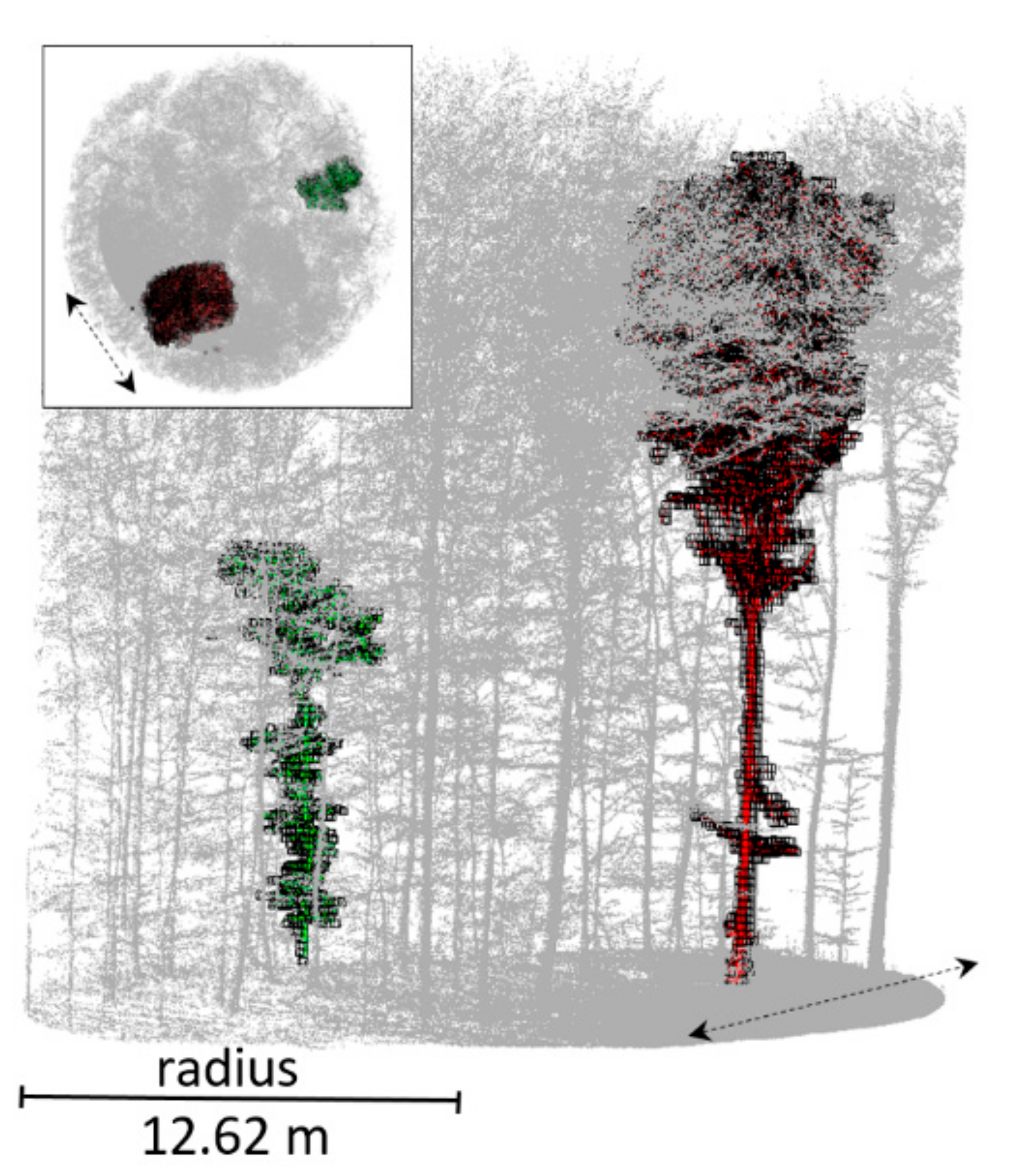 Forests 09 00395 g006 Forests 09 00395 g006