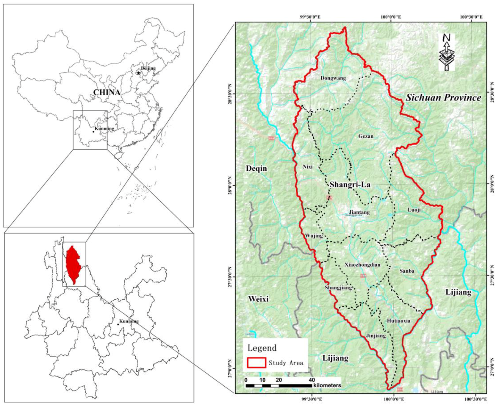 Forests 09 00398 g001