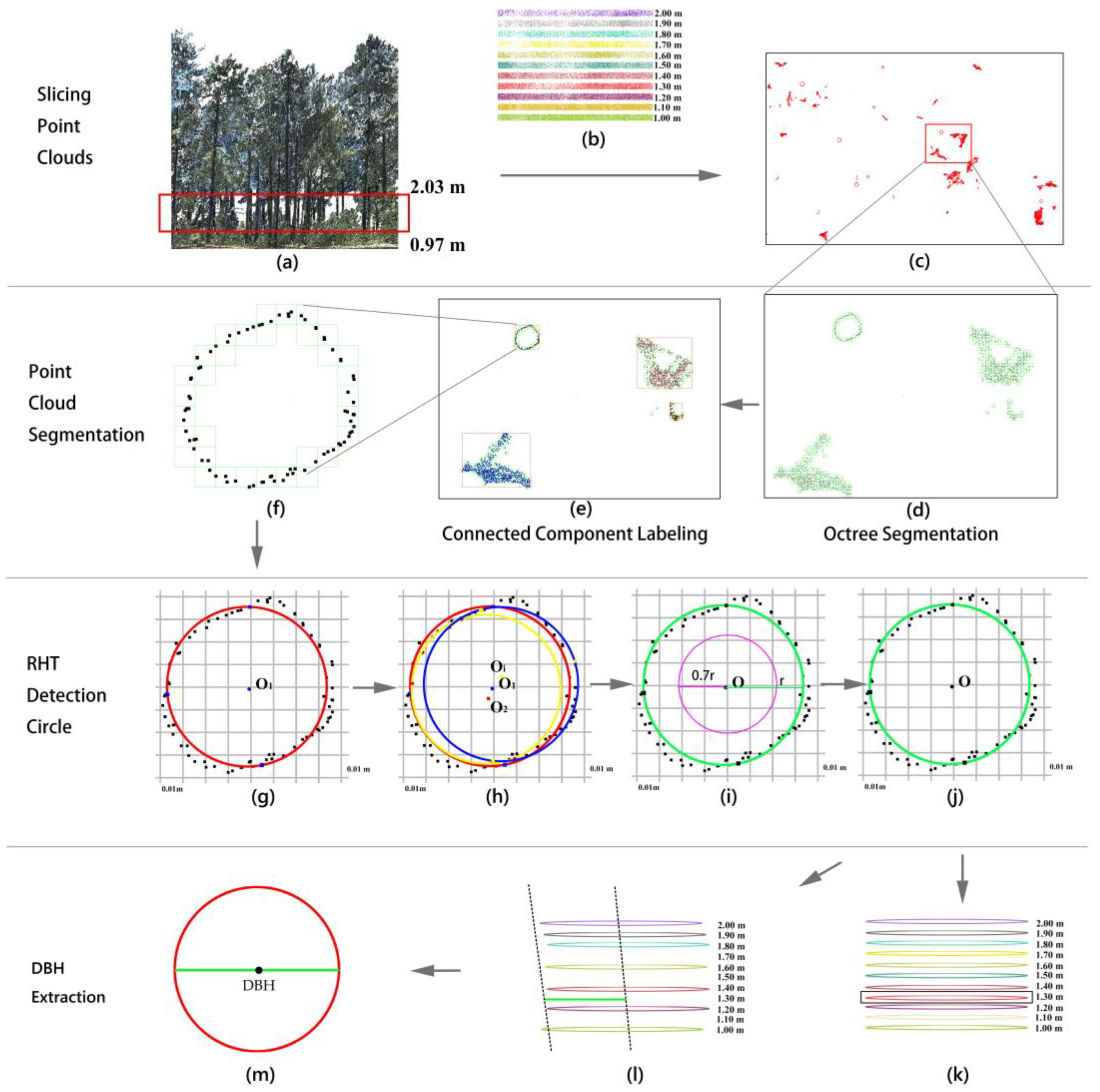 Forests 09 00398 g006