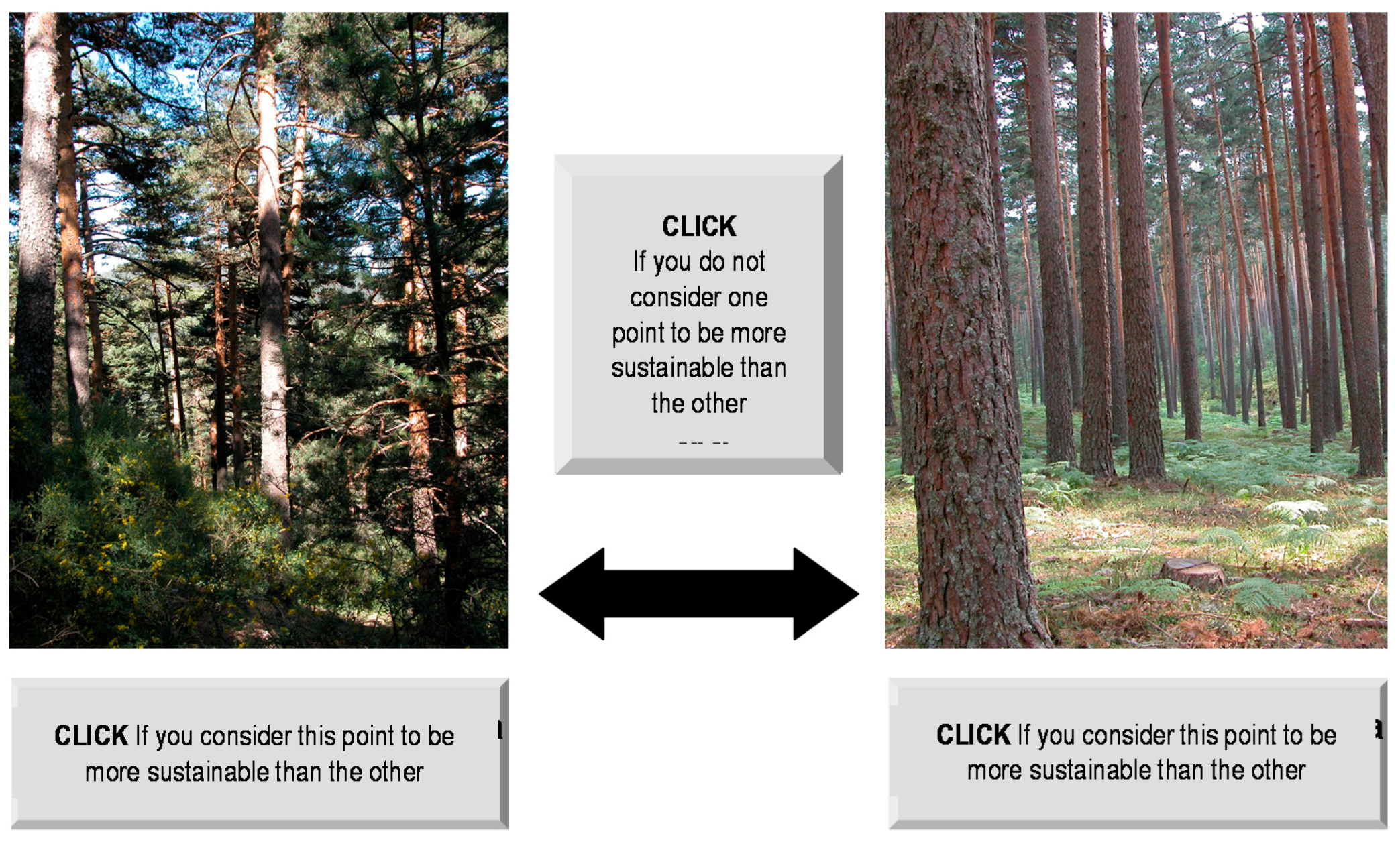 Forests 09 00399 g004