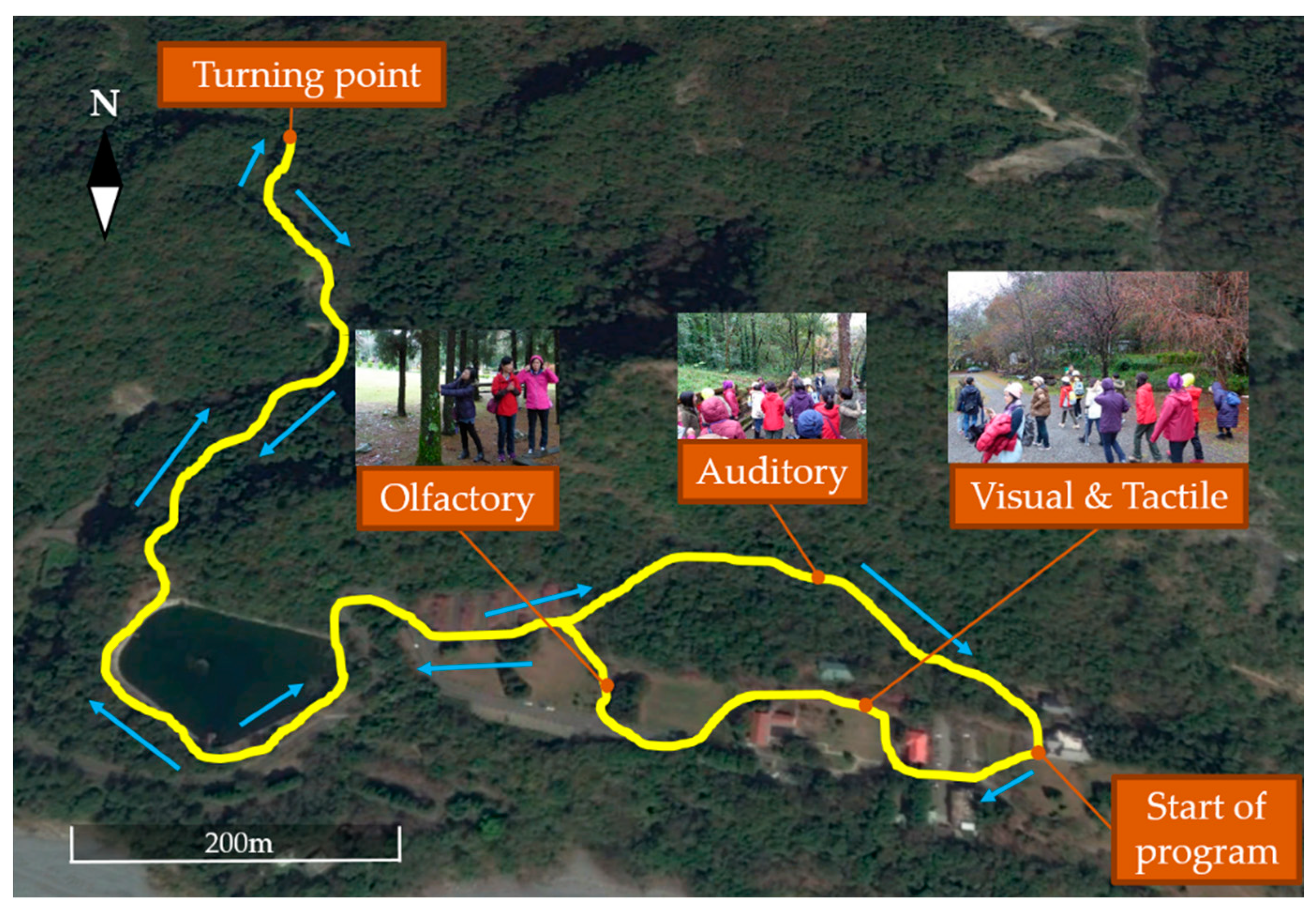 Forests 09 00403 g001