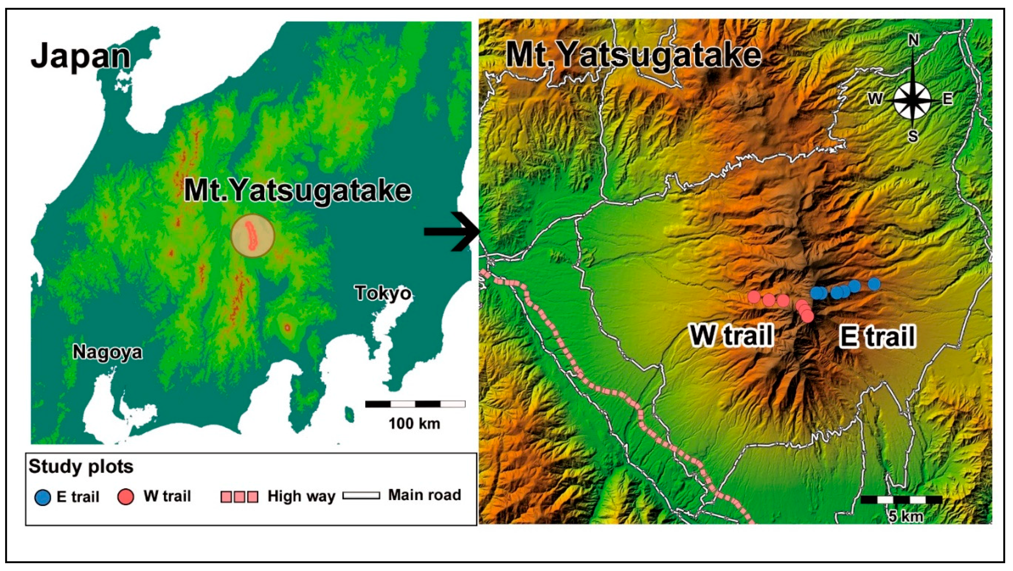 Forests 09 00433 g001 Forests 09 00433 g001