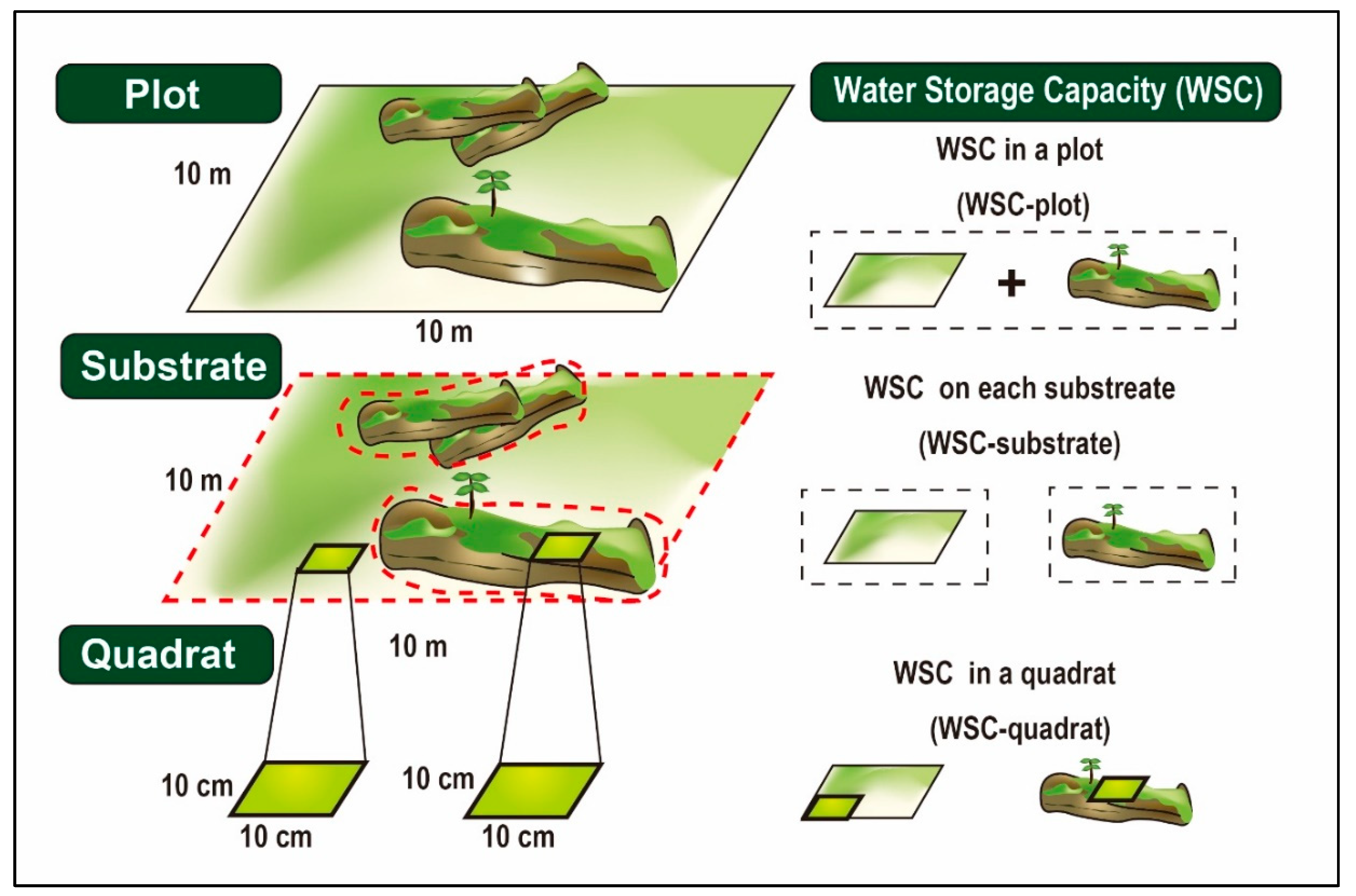 Forests 09 00433 g002 Forests 09 00433 g002