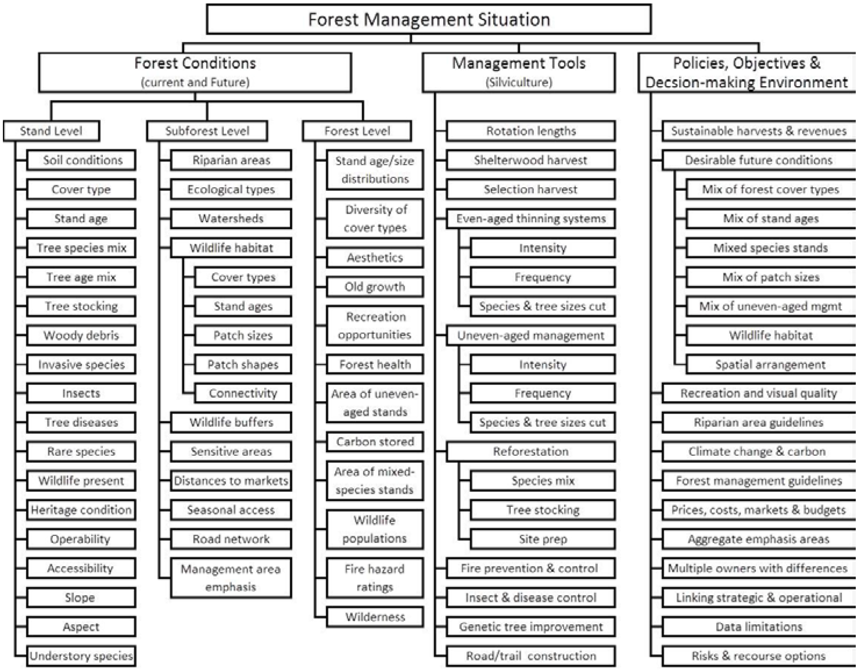 Forests 09 00434 g001
