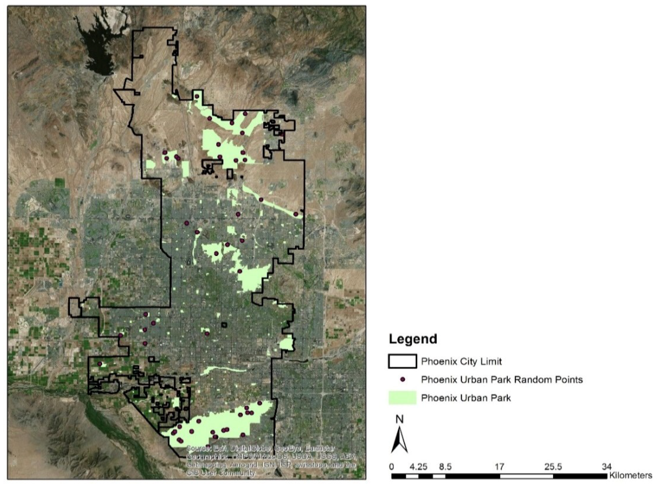 Forests 09 00439 g001