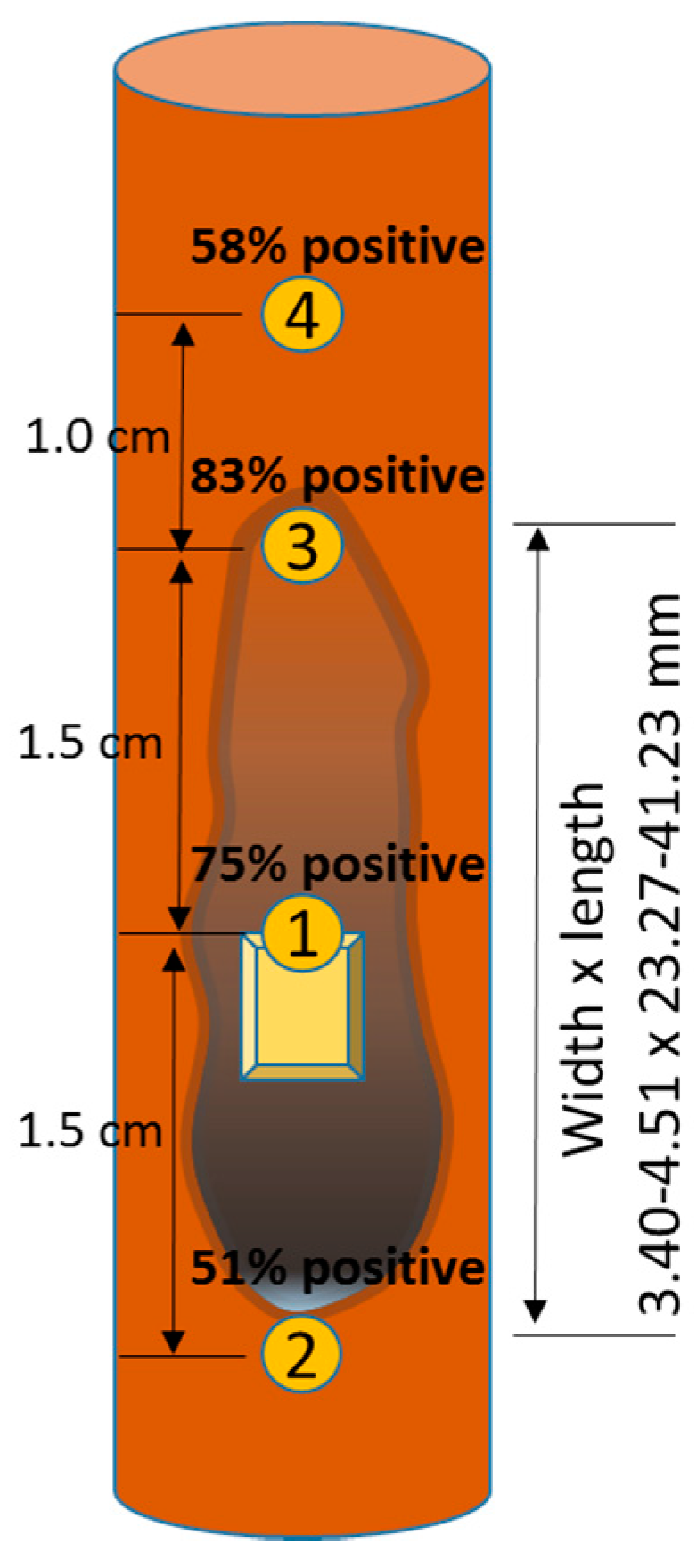 Forests 09 00442 g001