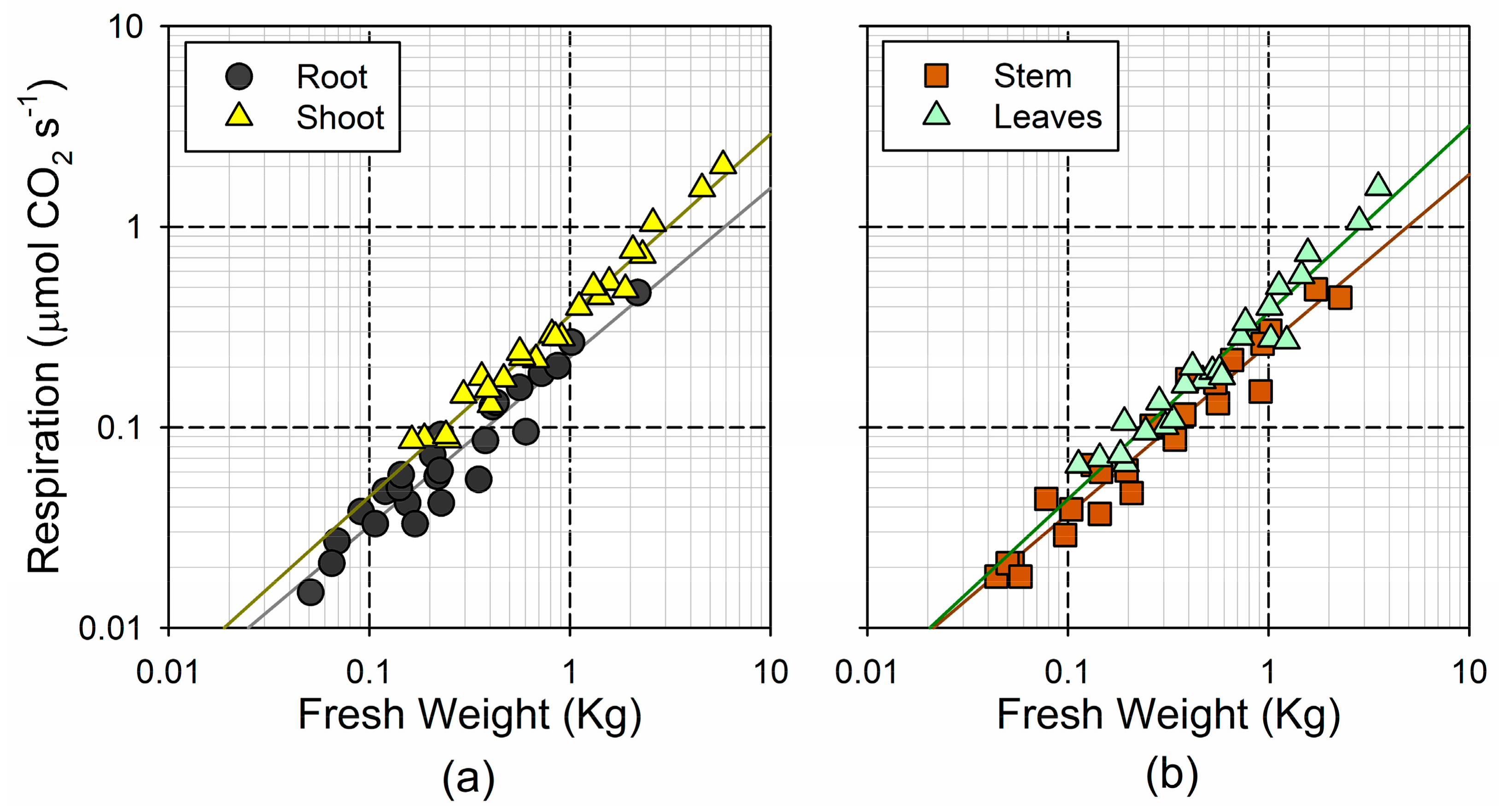 Forests 09 00449 g004