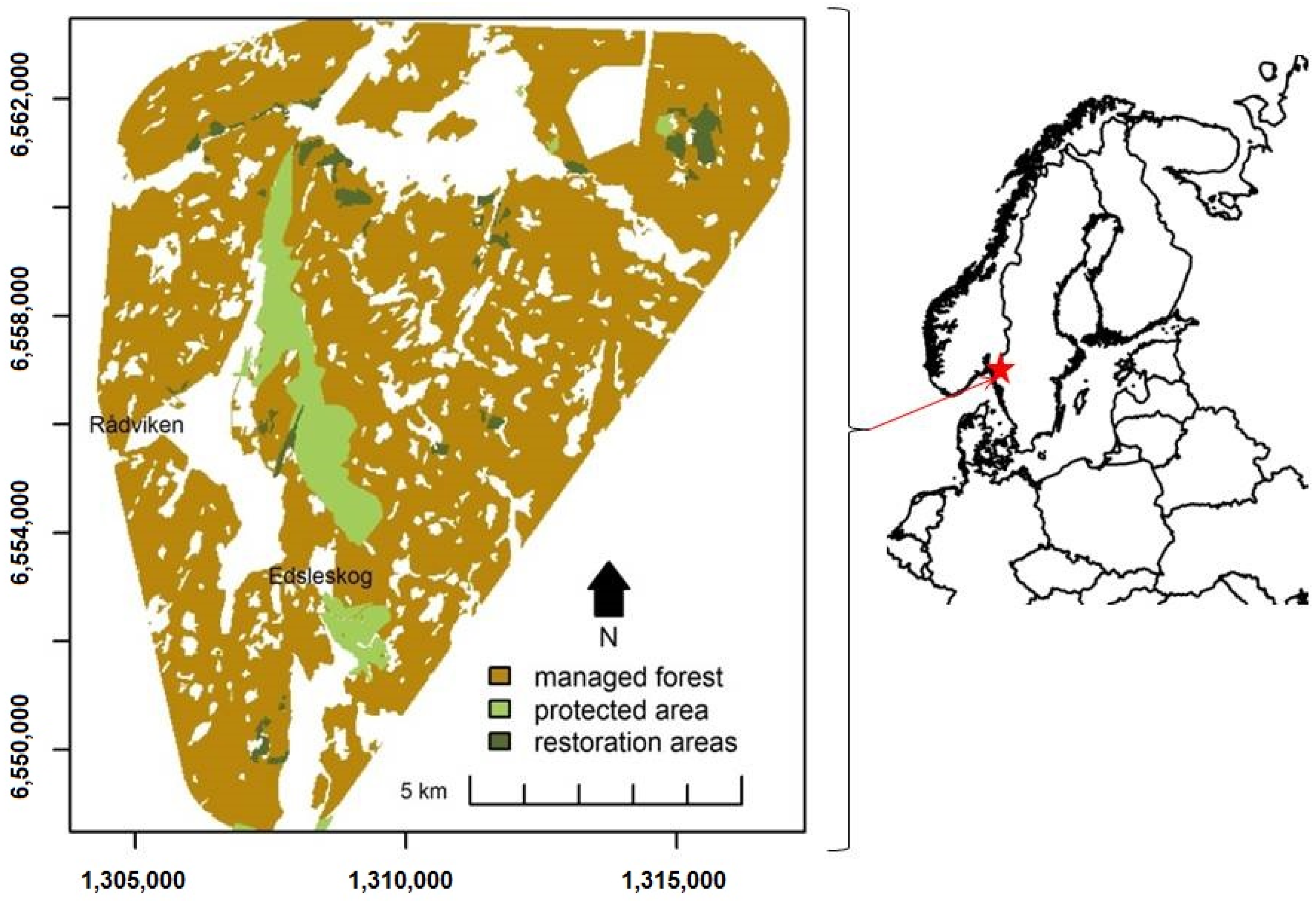 Forests 09 00457 g001