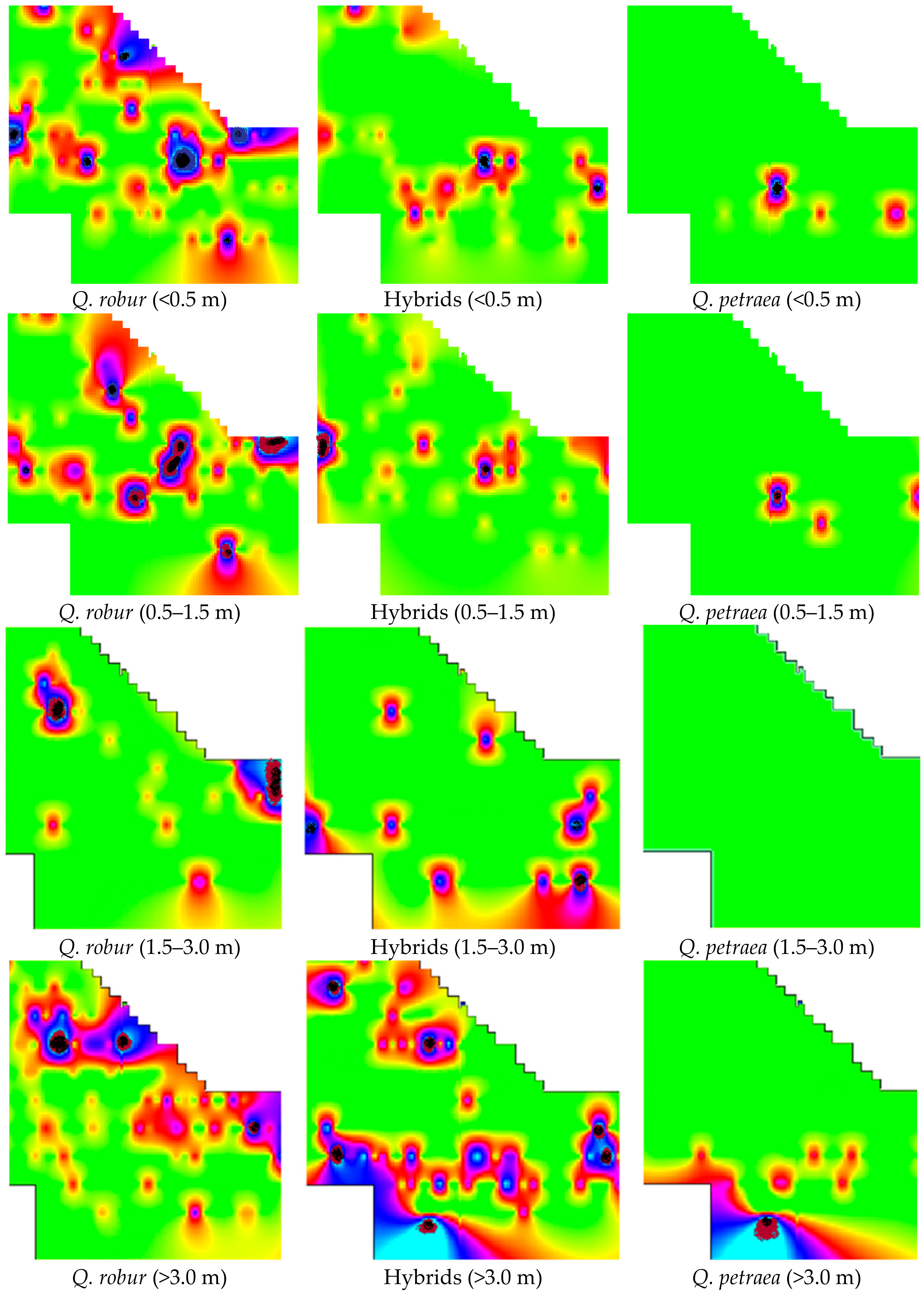 Forests 09 00459 g002