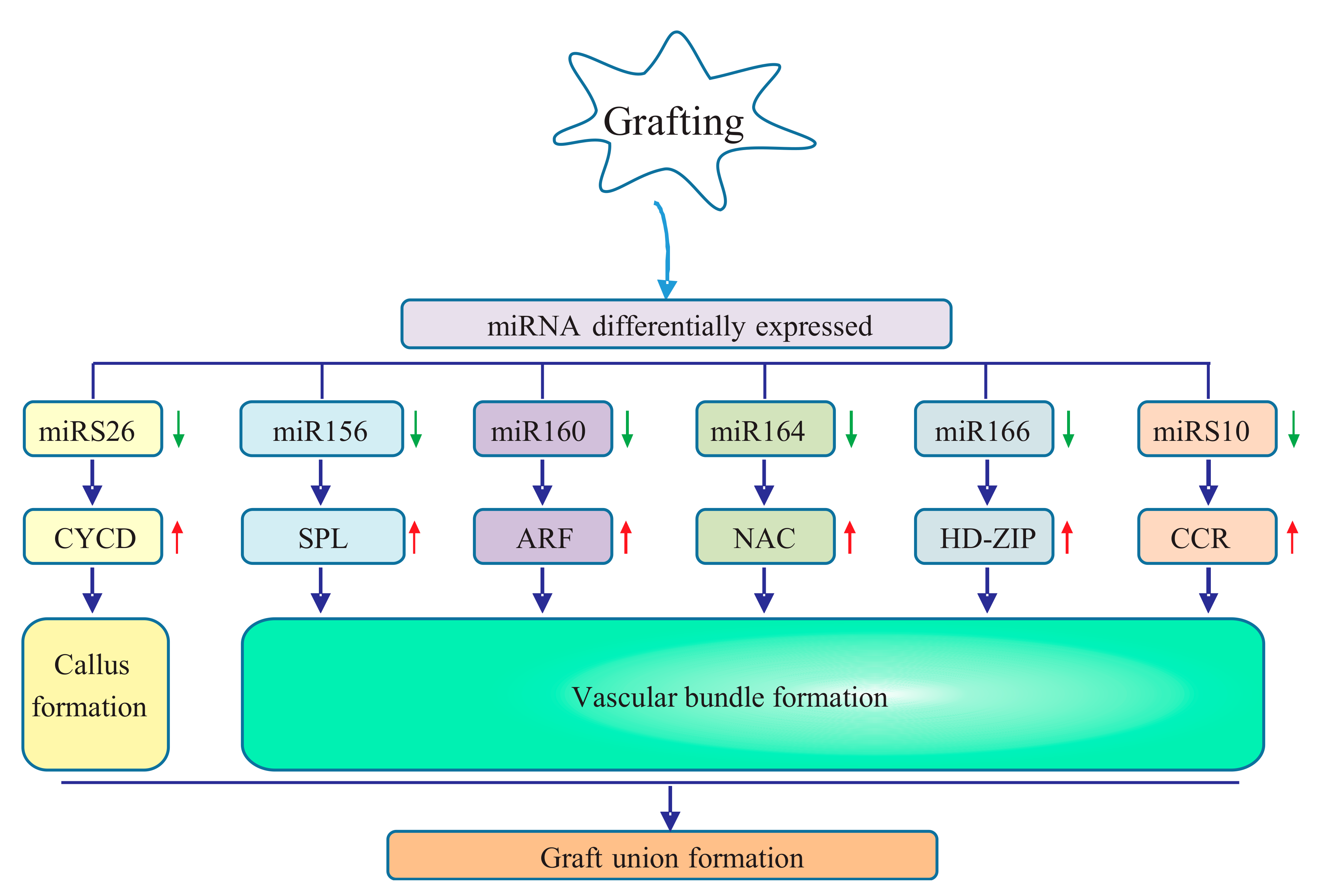 Forests 09 00472 g007