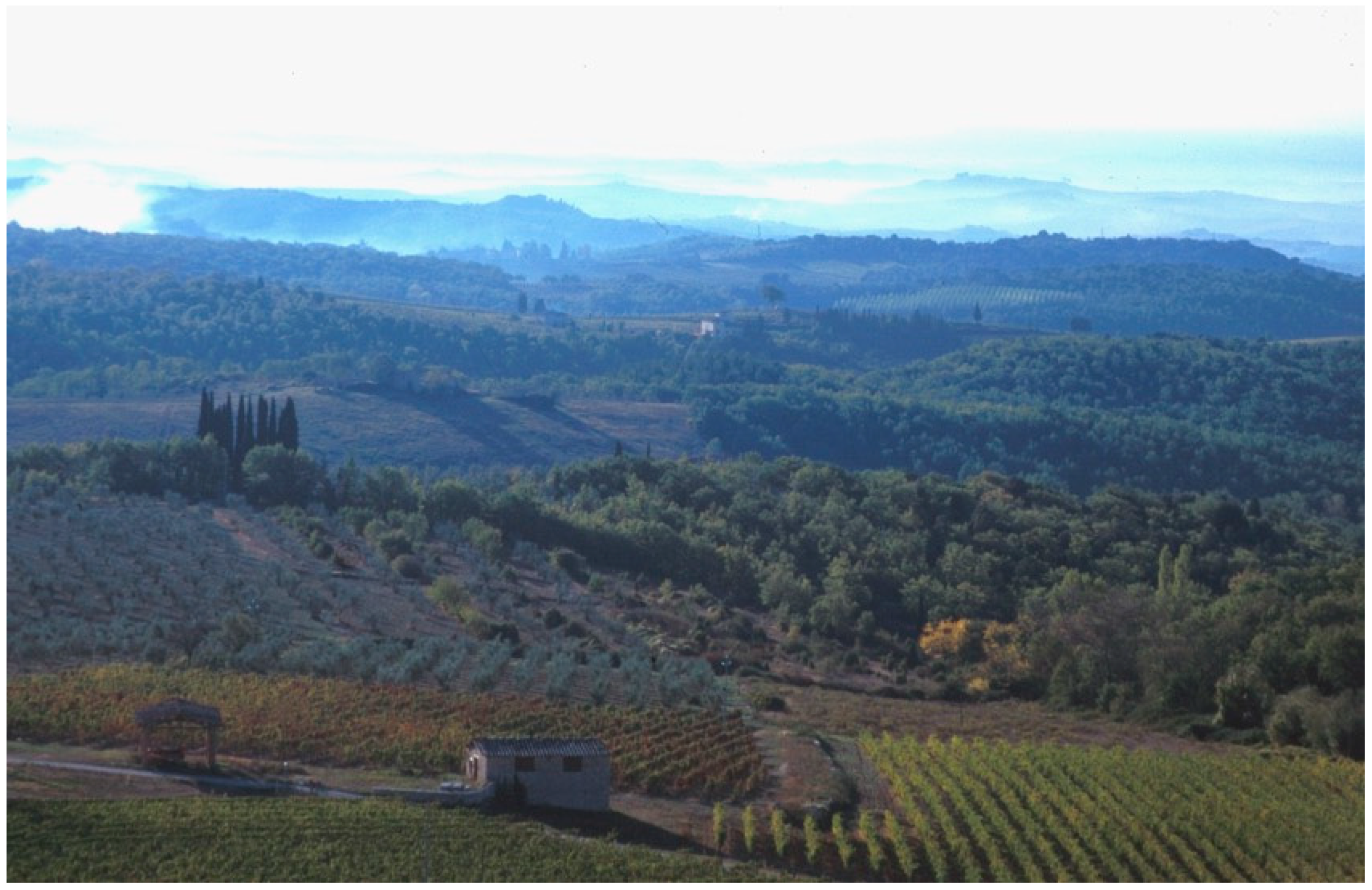 Forests 09 00473 g004