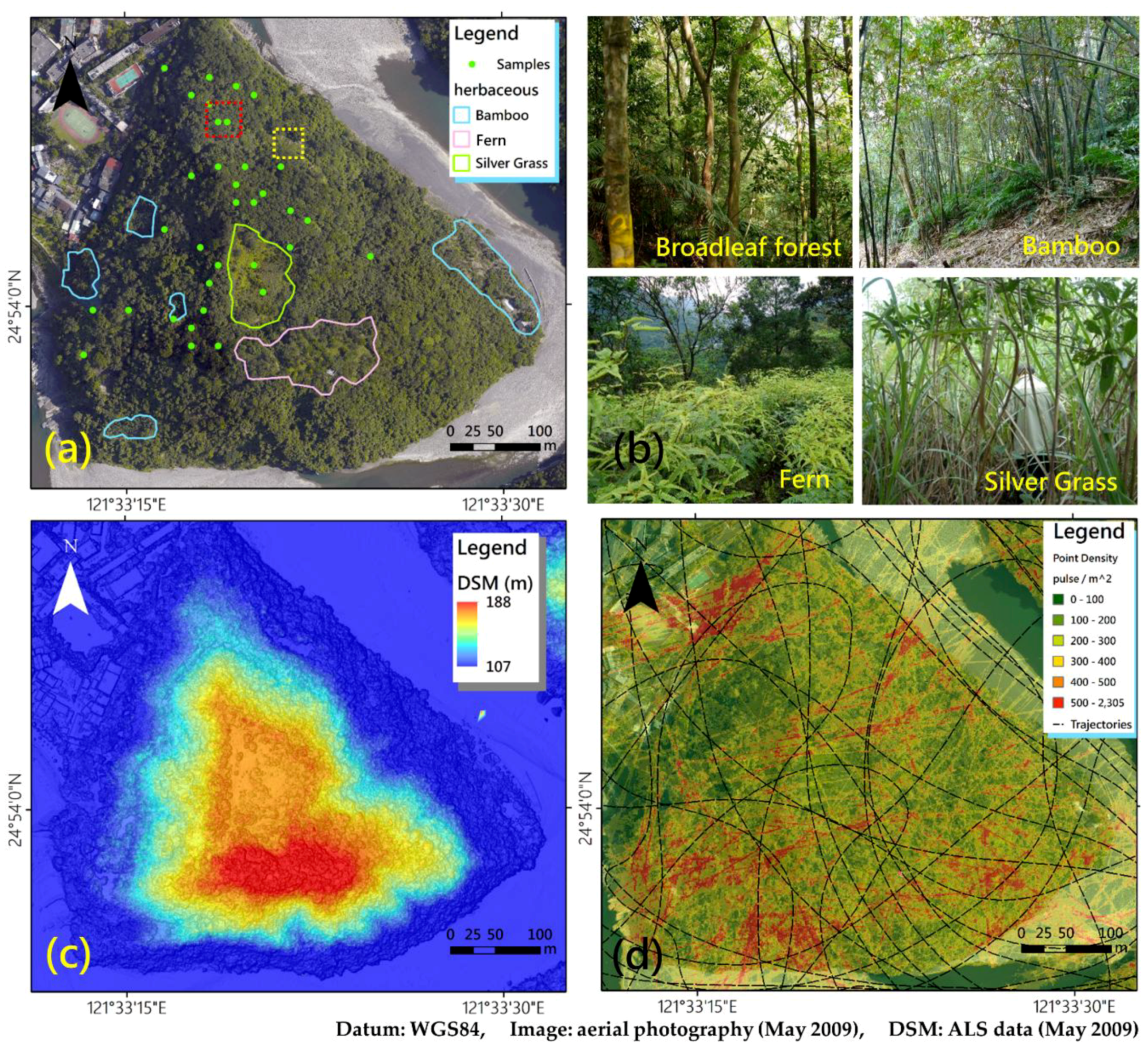 Forests 09 00475 g001