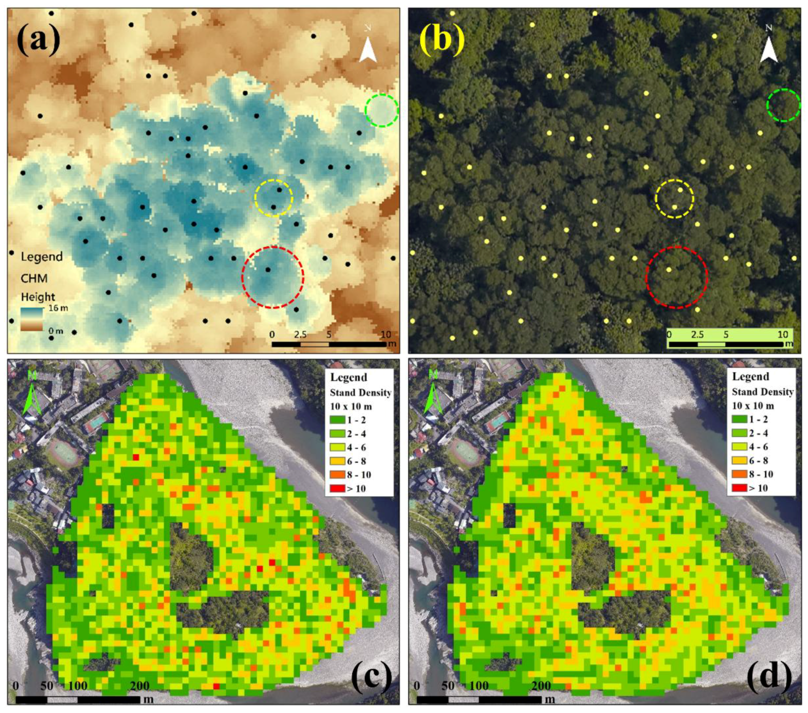 Forests 09 00475 g005