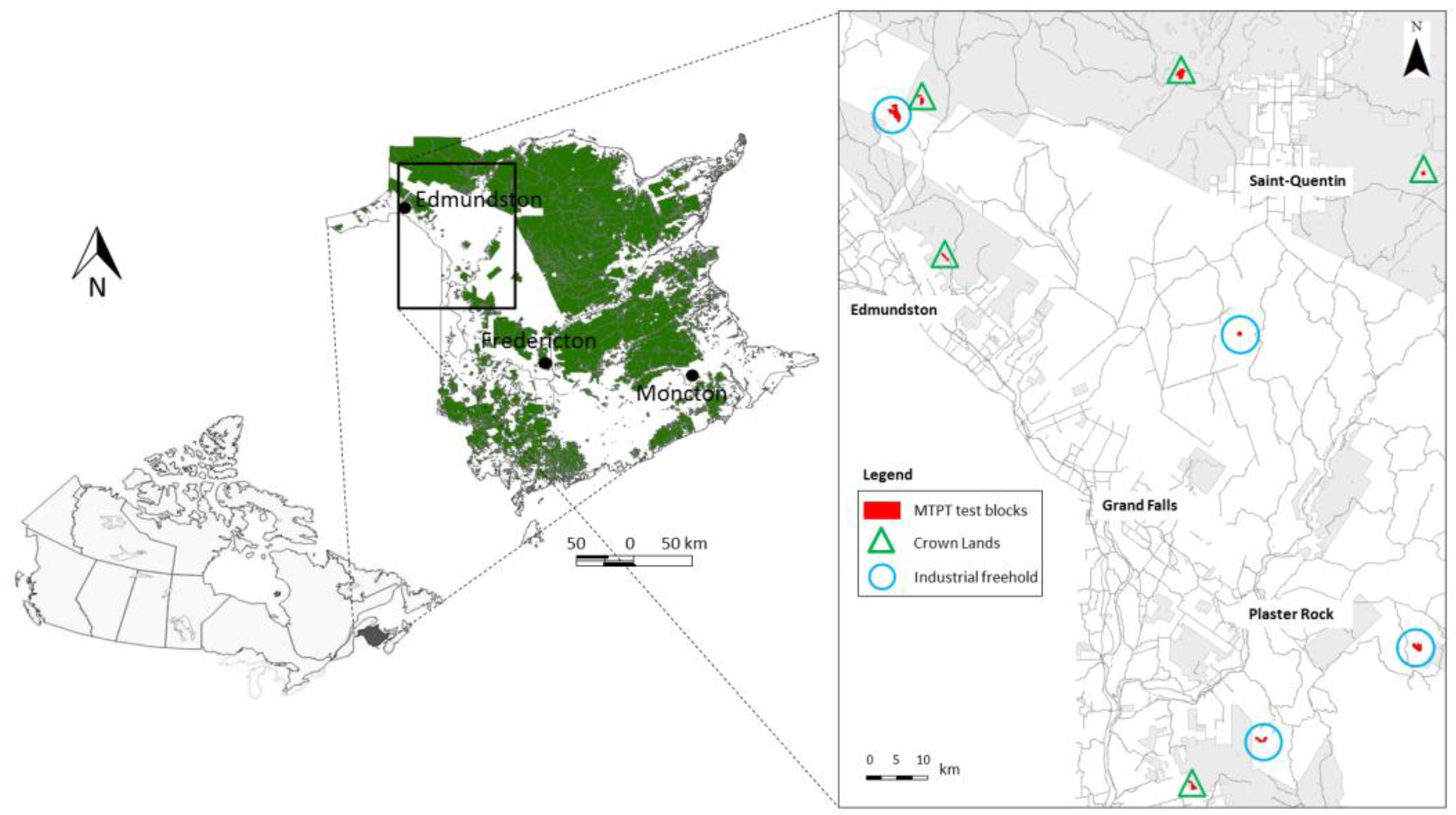 Forests 09 00485 g001