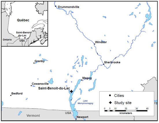 Forests 09 00499 g0a1