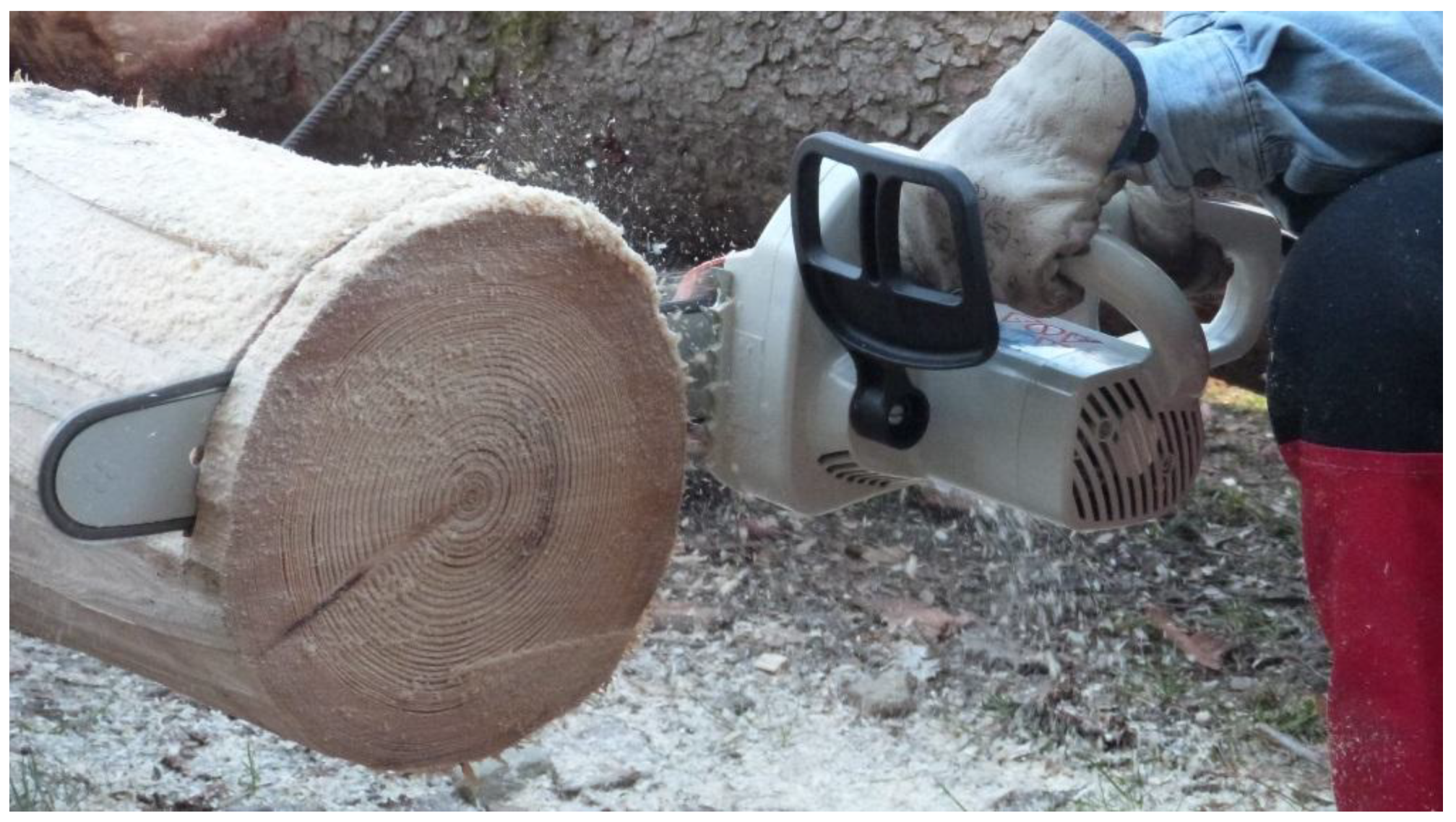 Forests 09 00501 g003