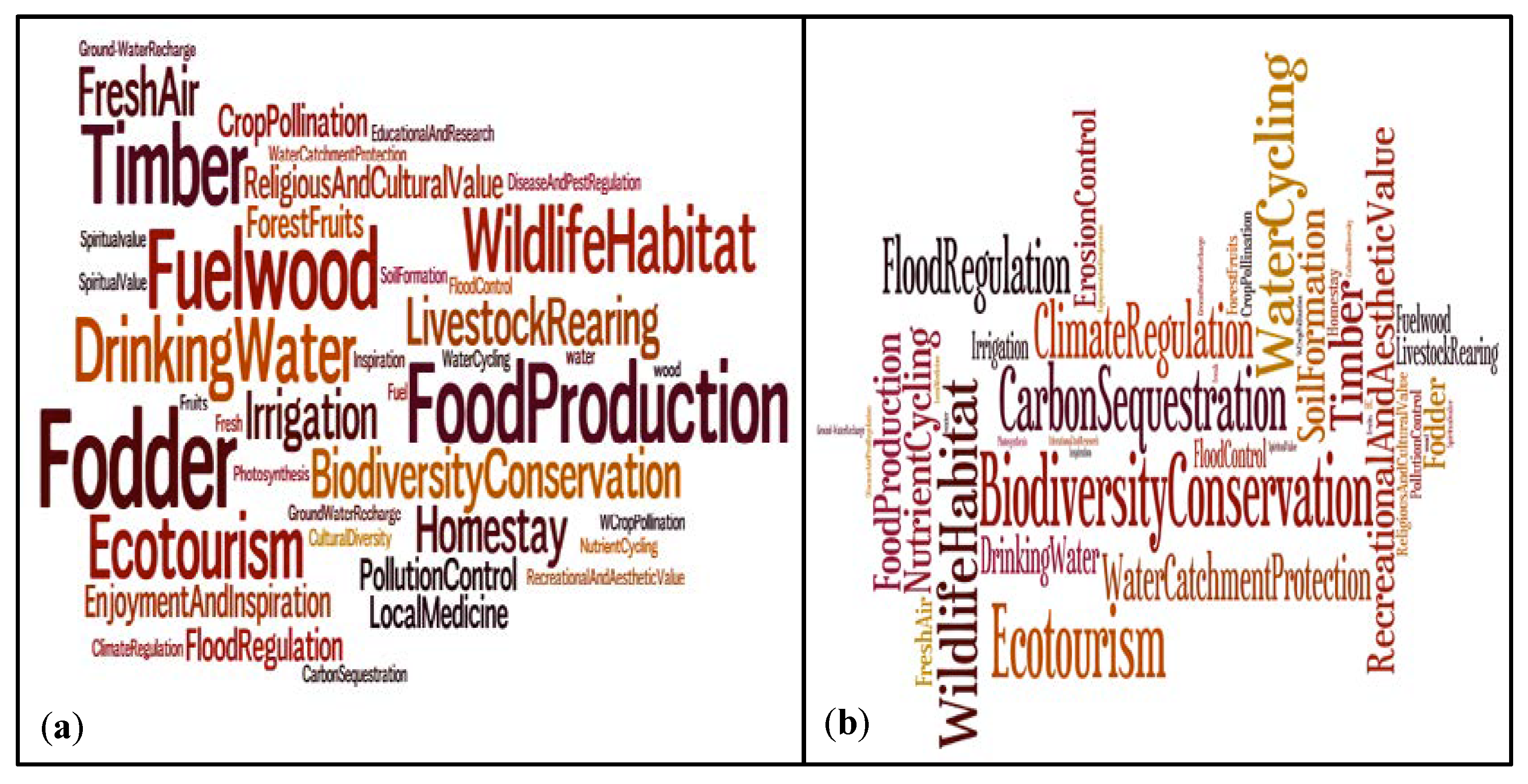 Forests 09 00554 g003