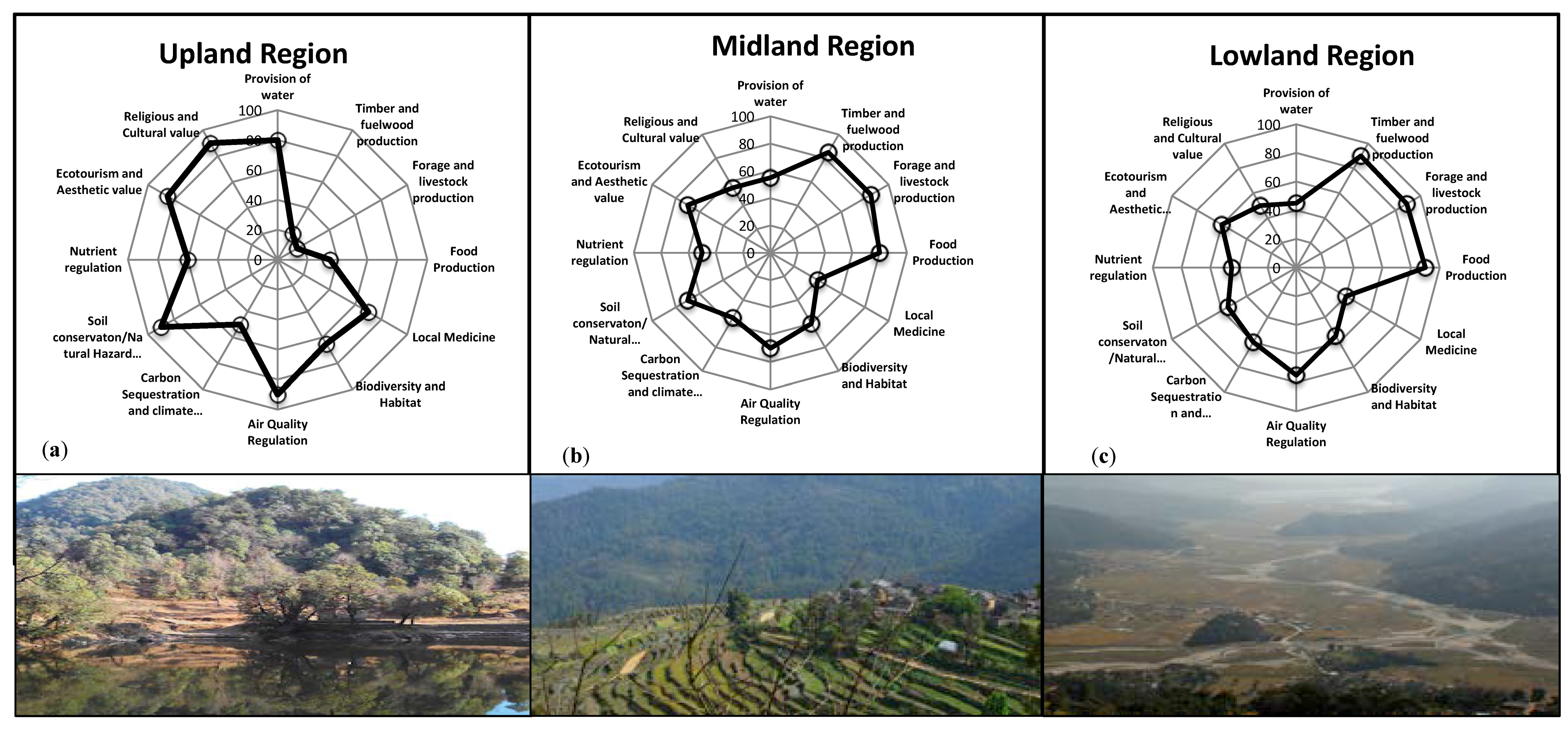 Forests 09 00554 g004
