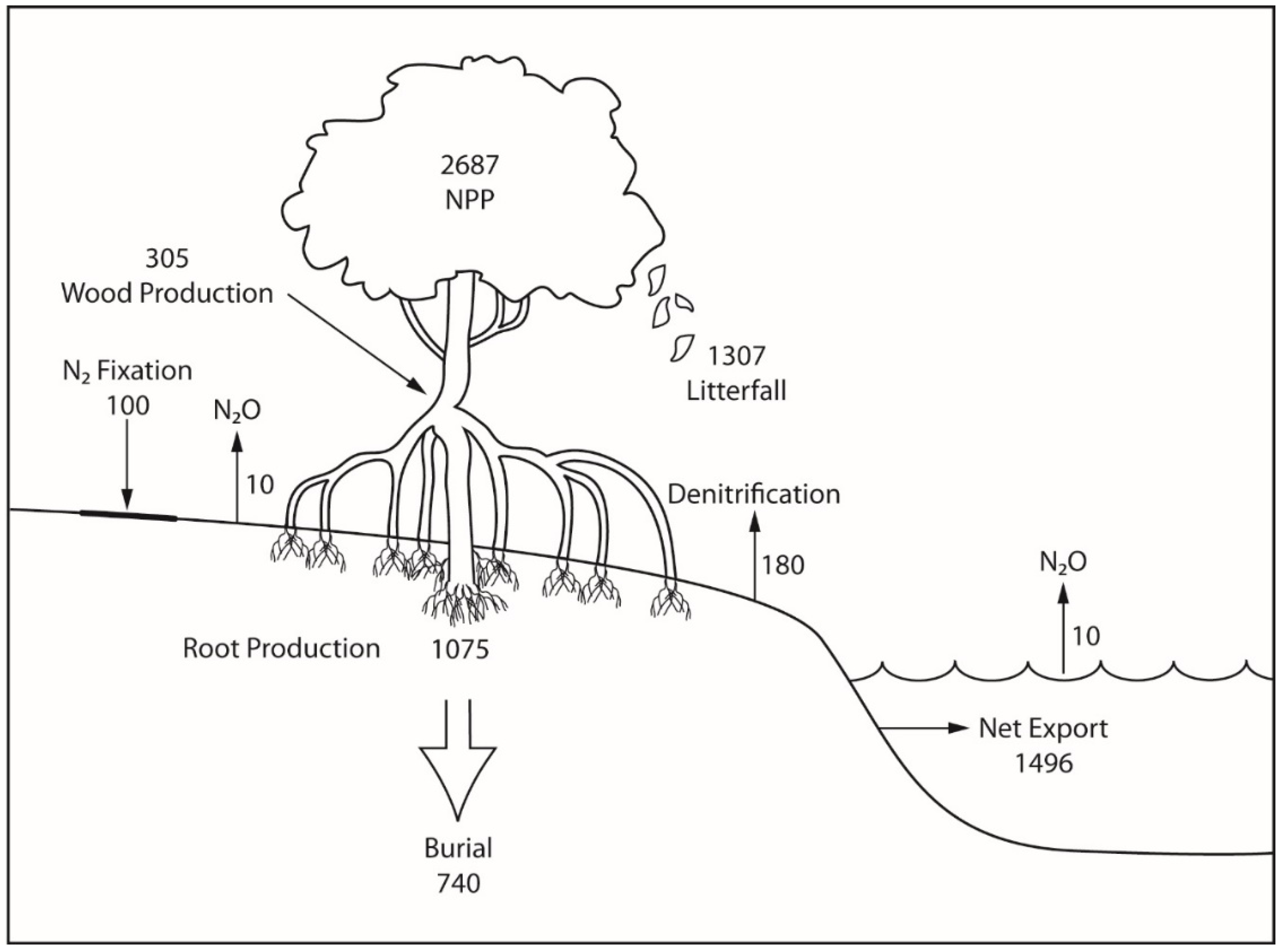 Forests 09 00596 g001