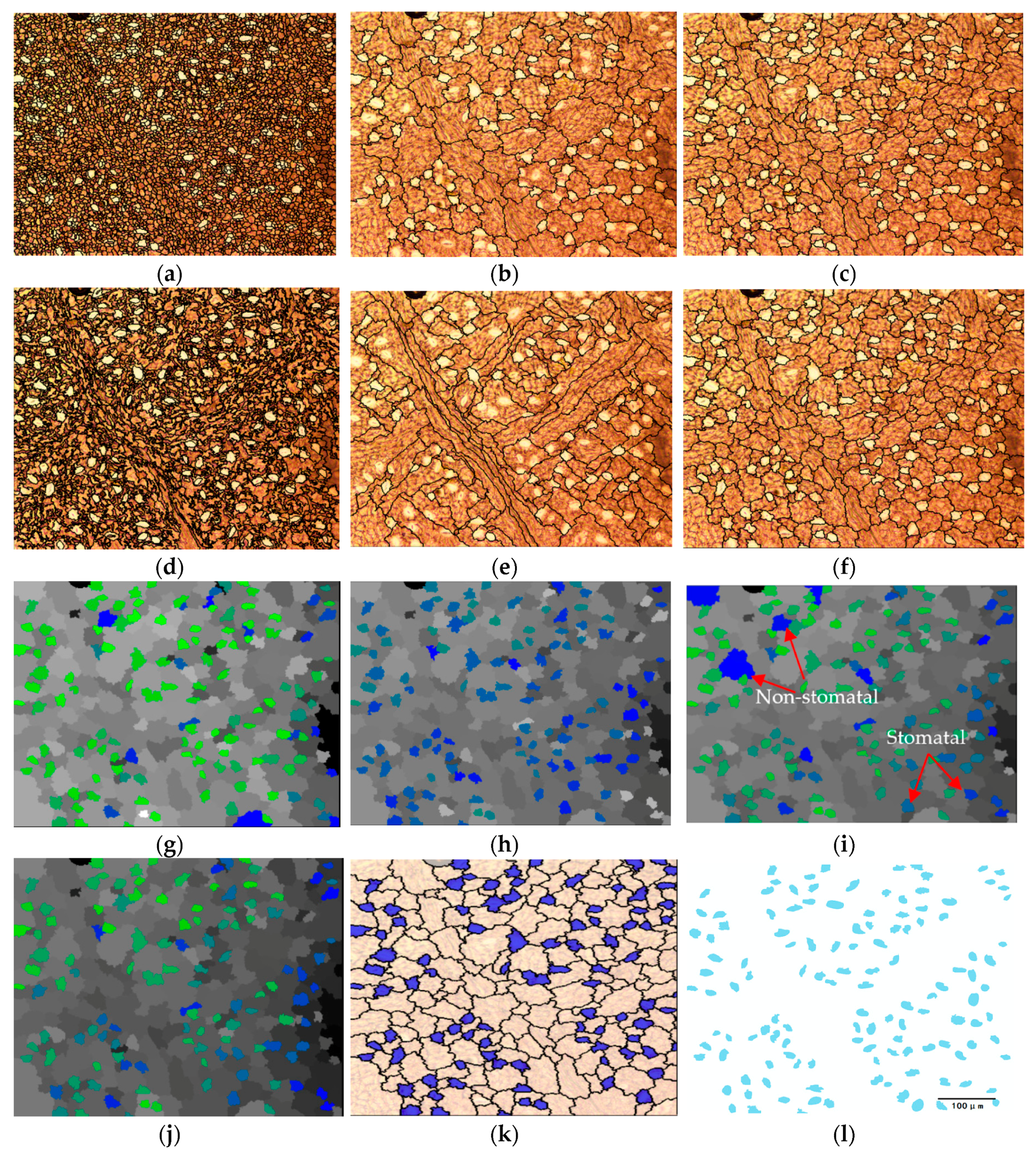 Forests 09 00616 g007 Forests 09 00616 g007