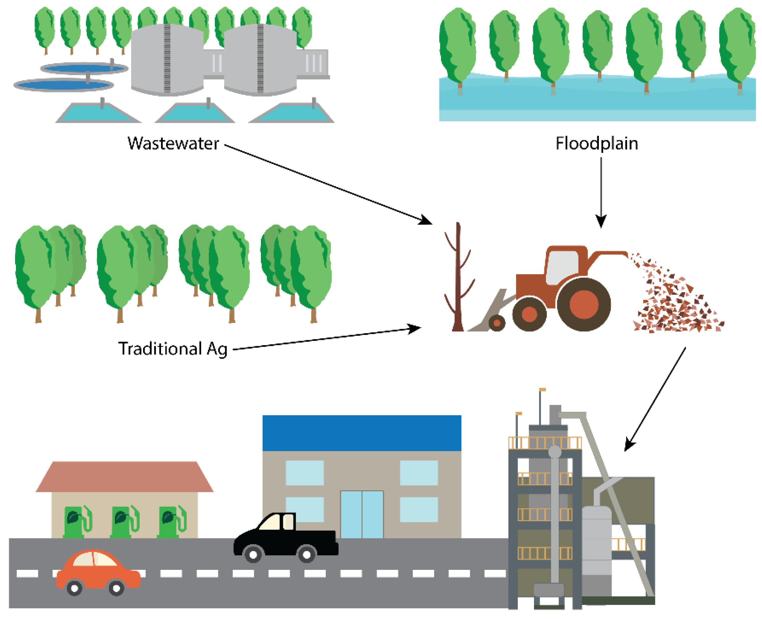 Forests 09 00655 g001