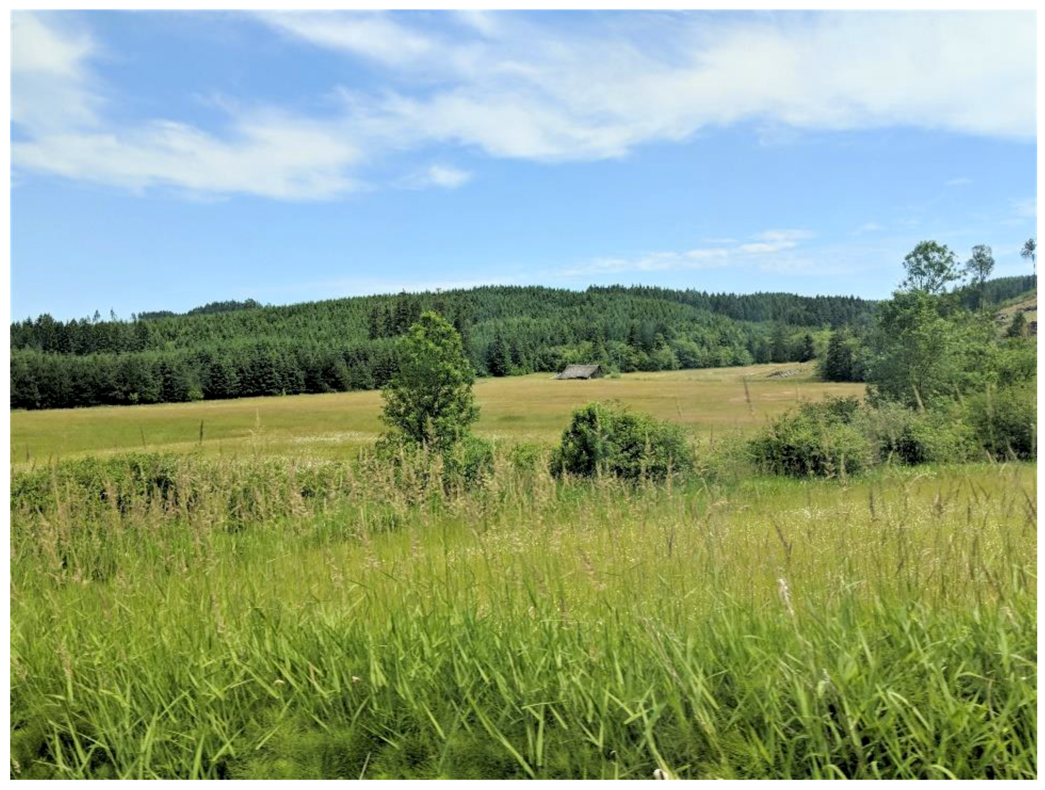 Forests 09 00655 g003