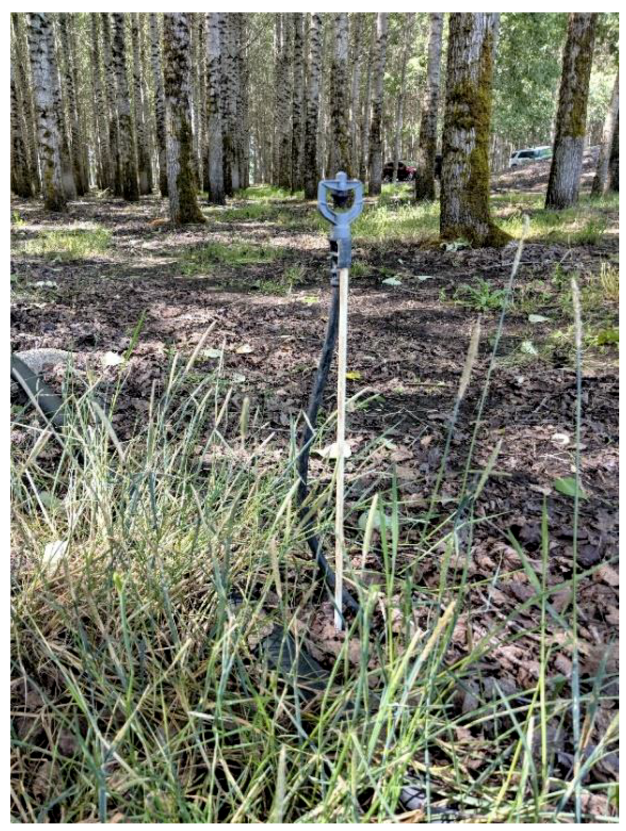 Forests 09 00655 g005