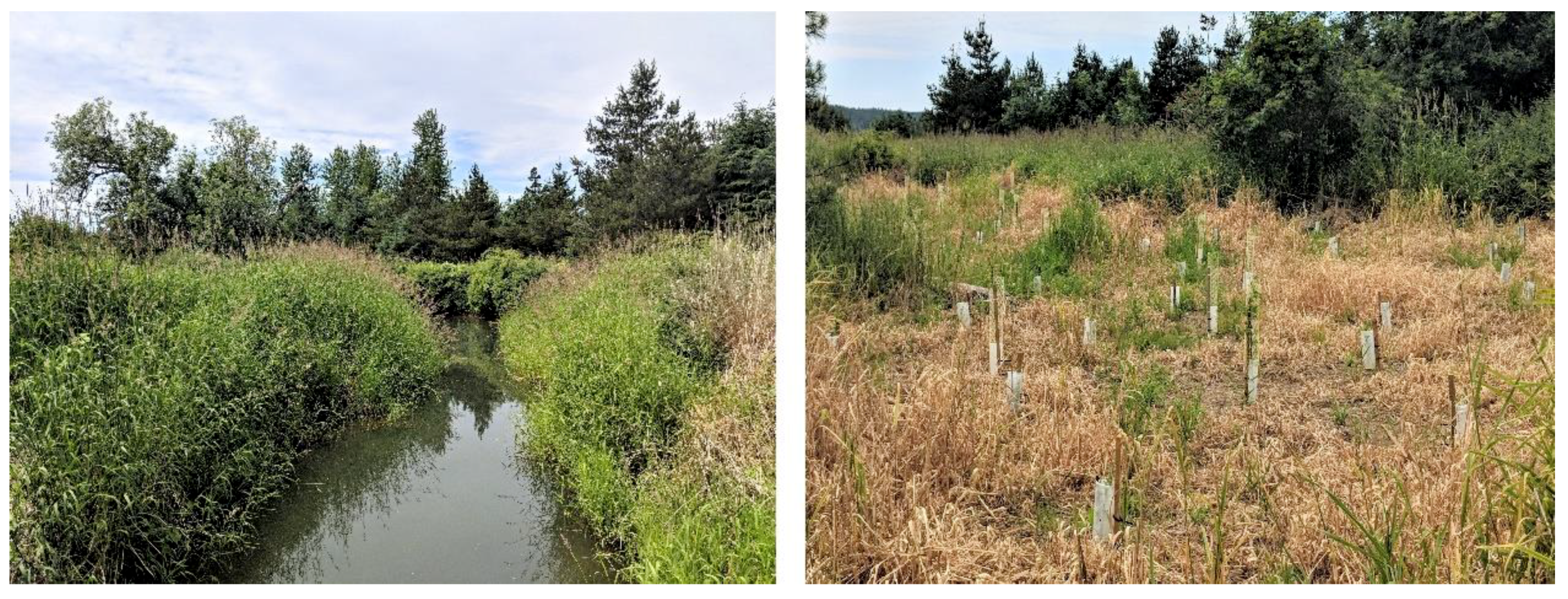 Forests 09 00655 g006