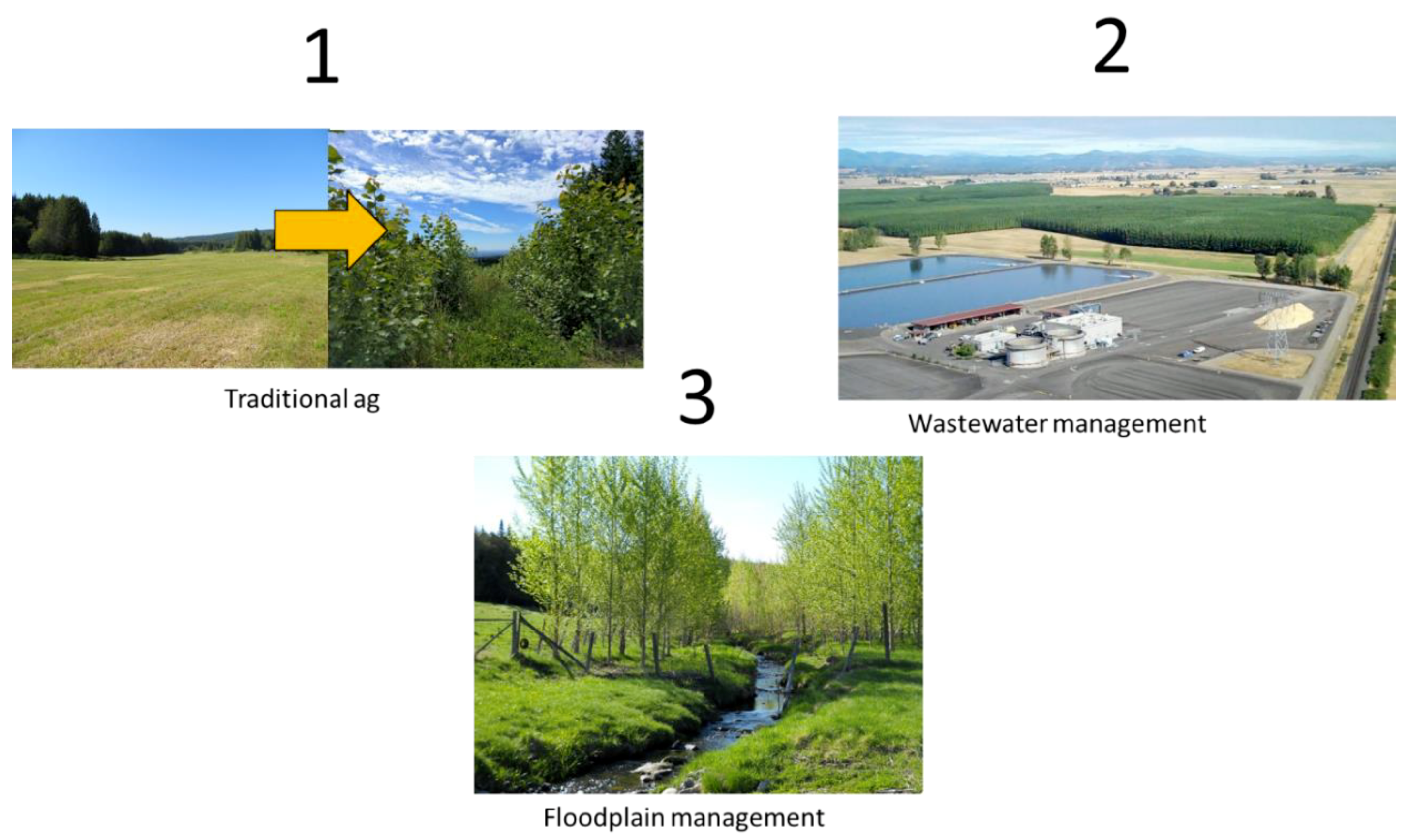 Forests 09 00655 i002 Forests 09 00655 i002