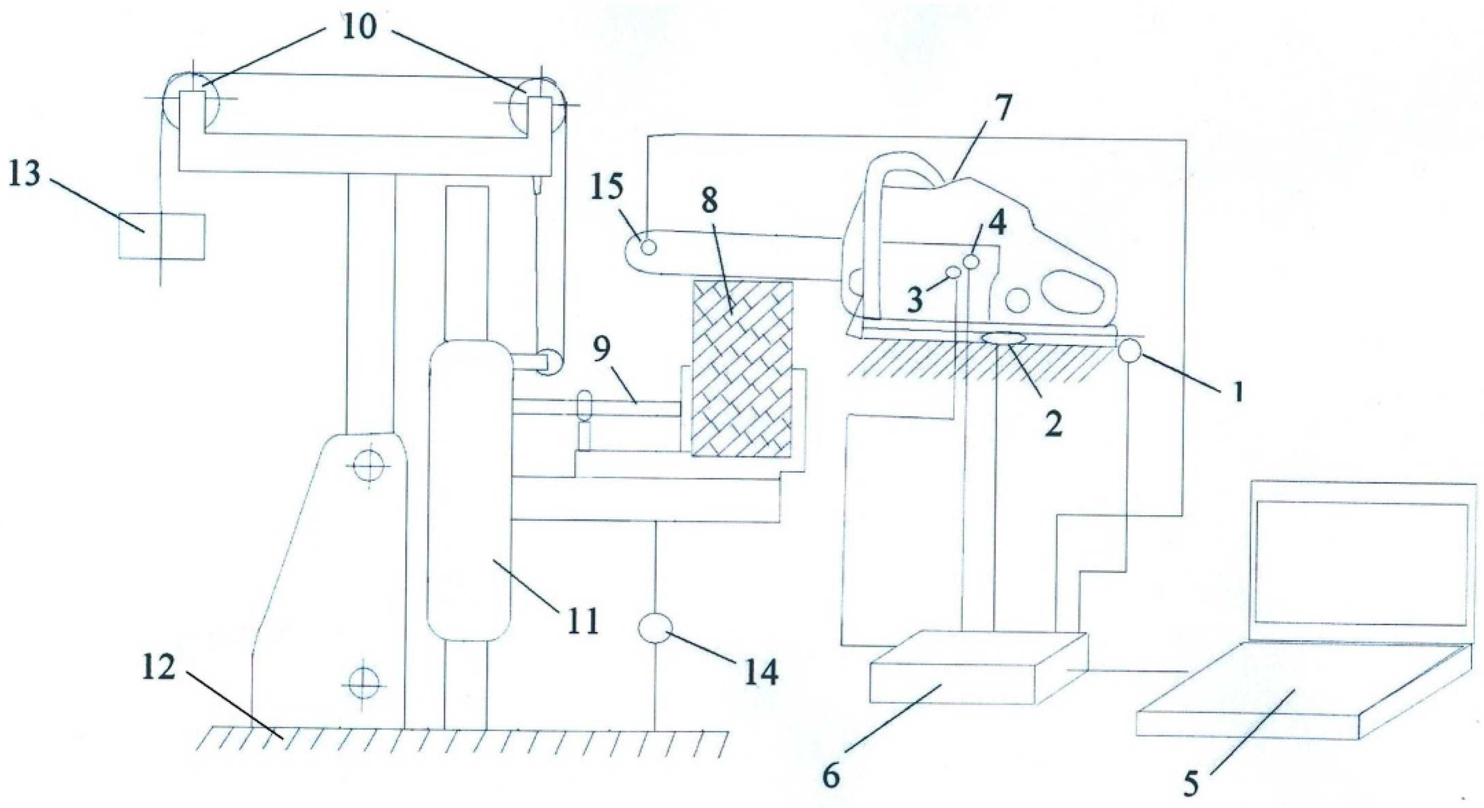 Forests 09 00660 g001