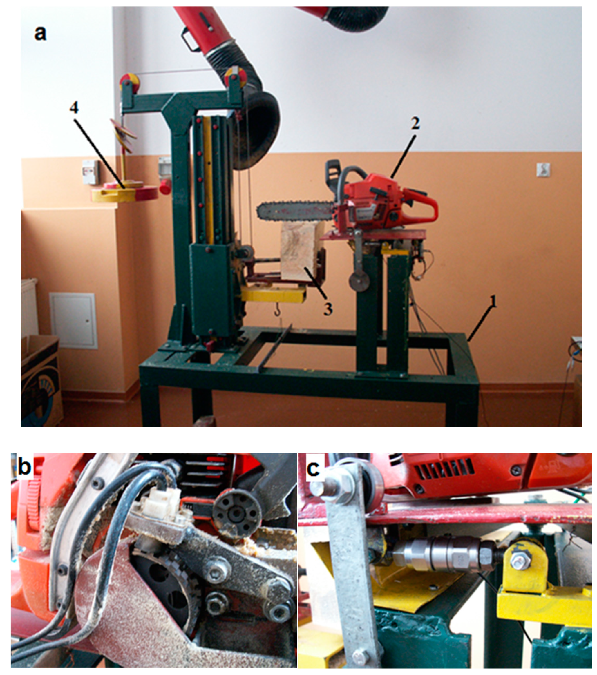 Forests 09 00660 g002