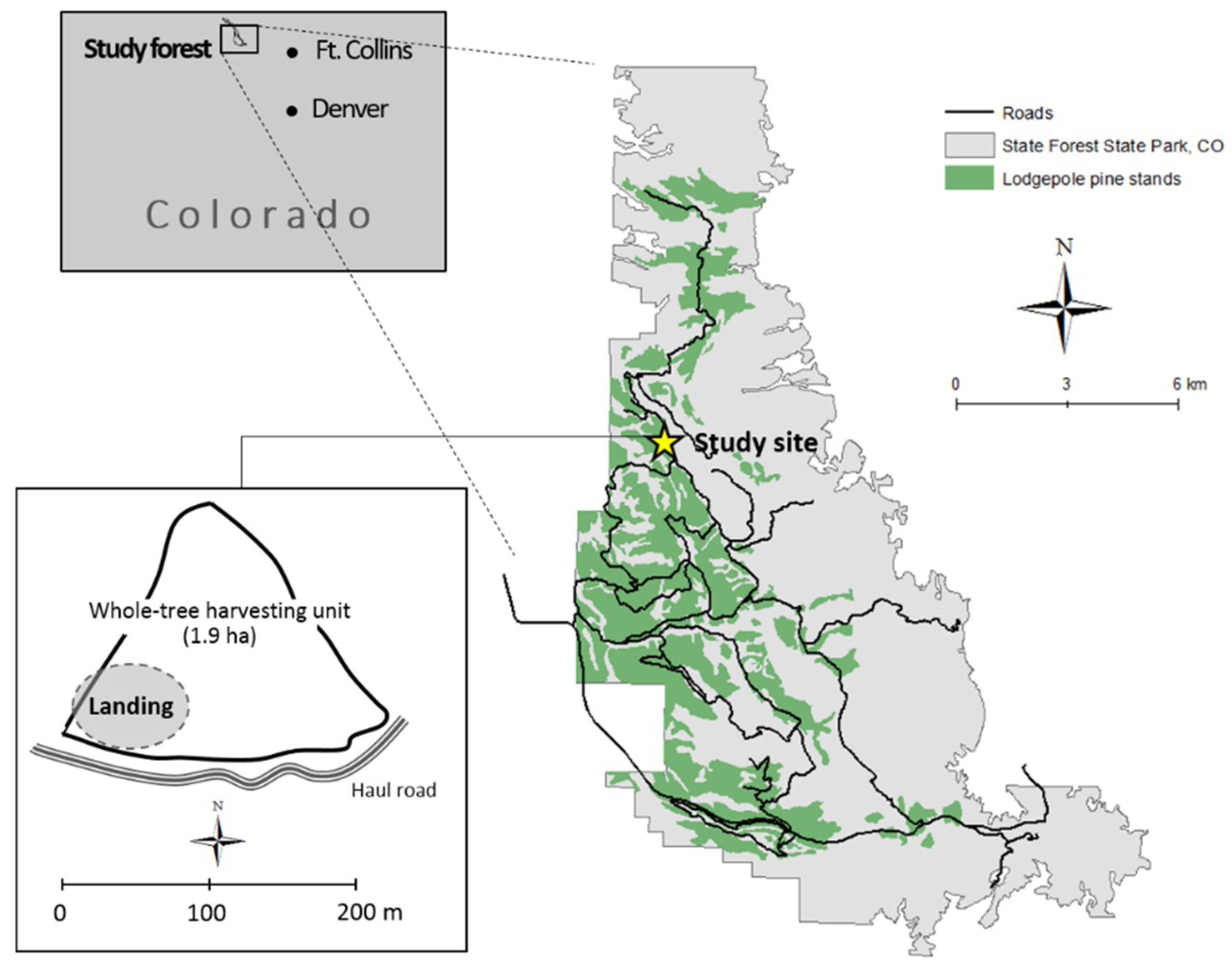 Forests 09 00683 g001