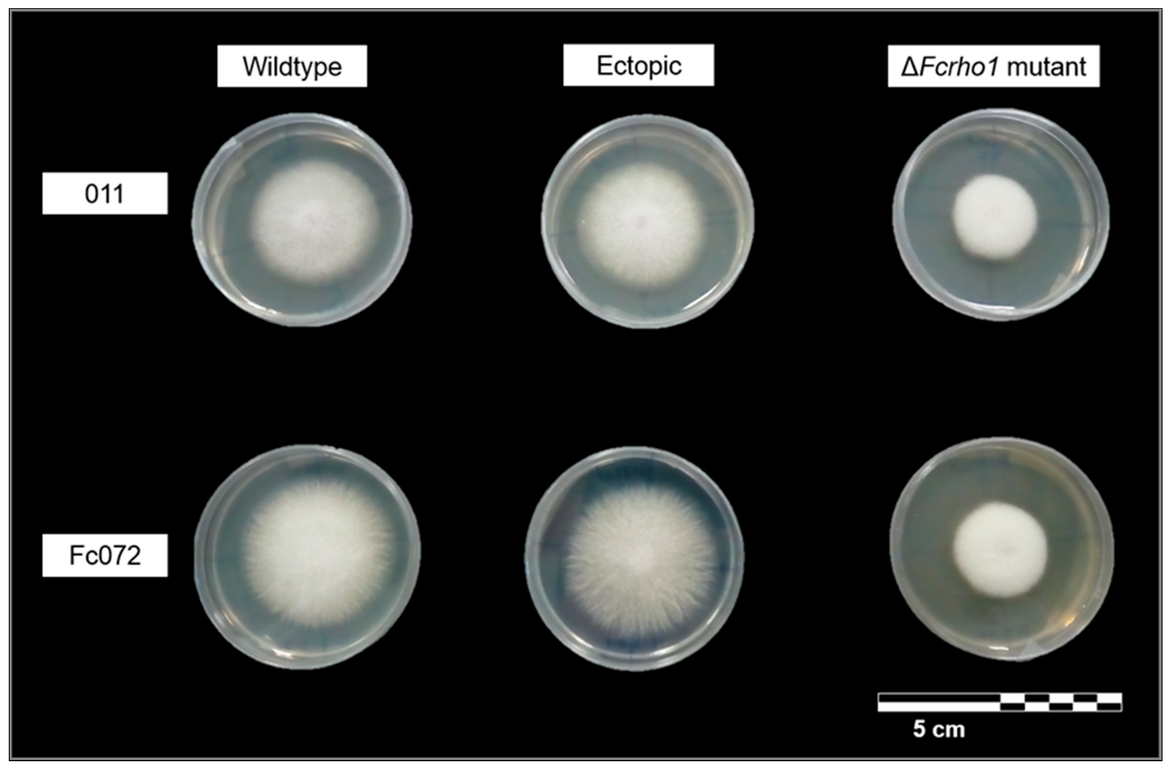 Forests 09 00684 g002