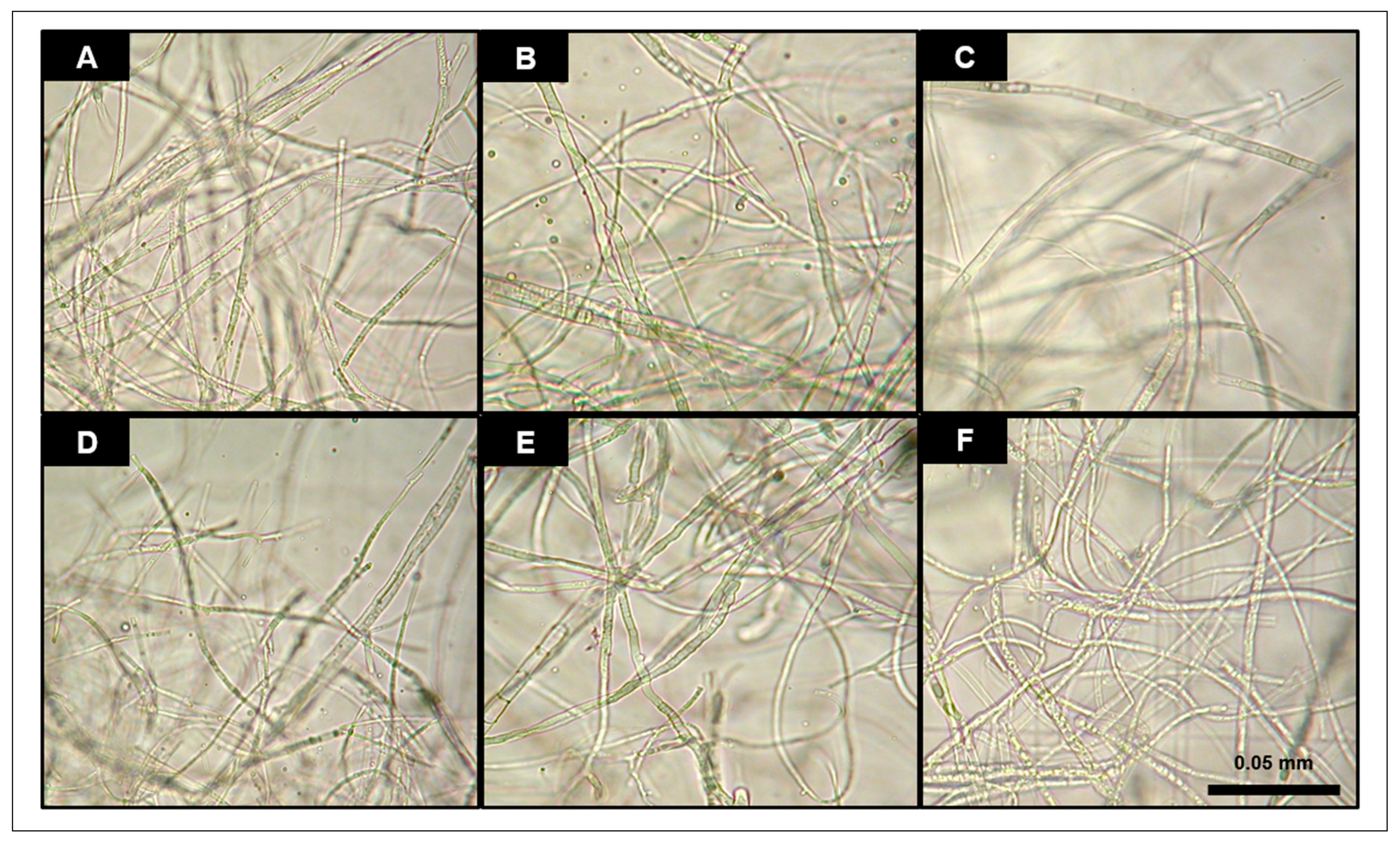 Forests 09 00684 g003